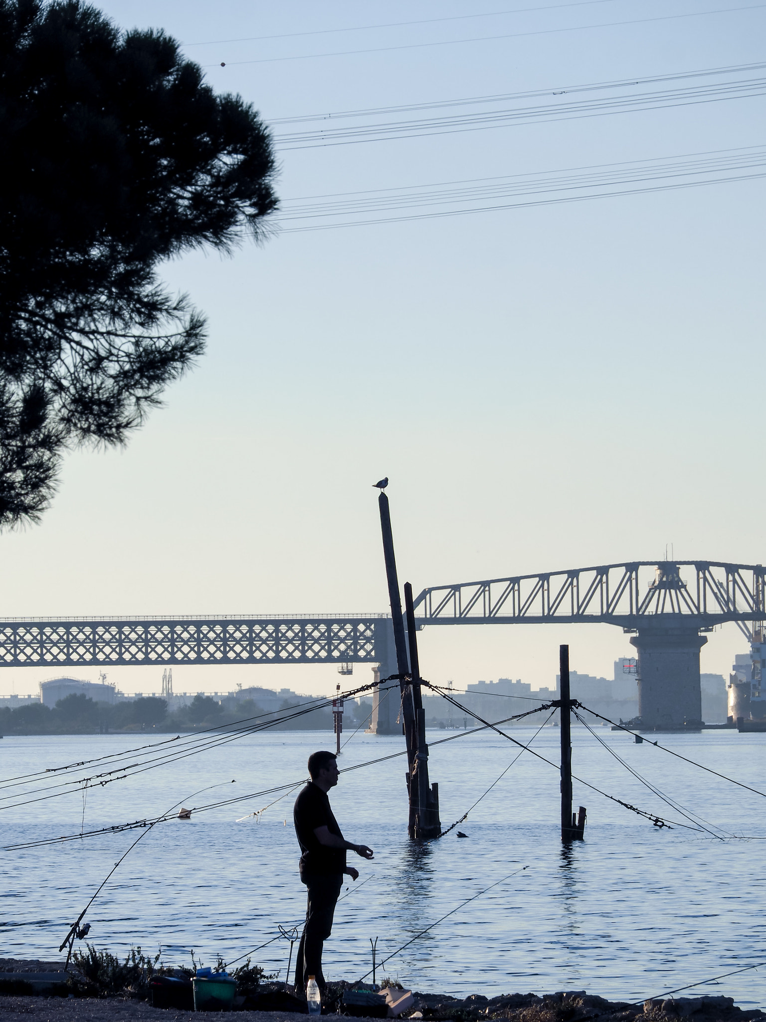 LUMIX G VARIO 45-150/F4.0-5.6 sample photo. The fisherman and the bird photography
