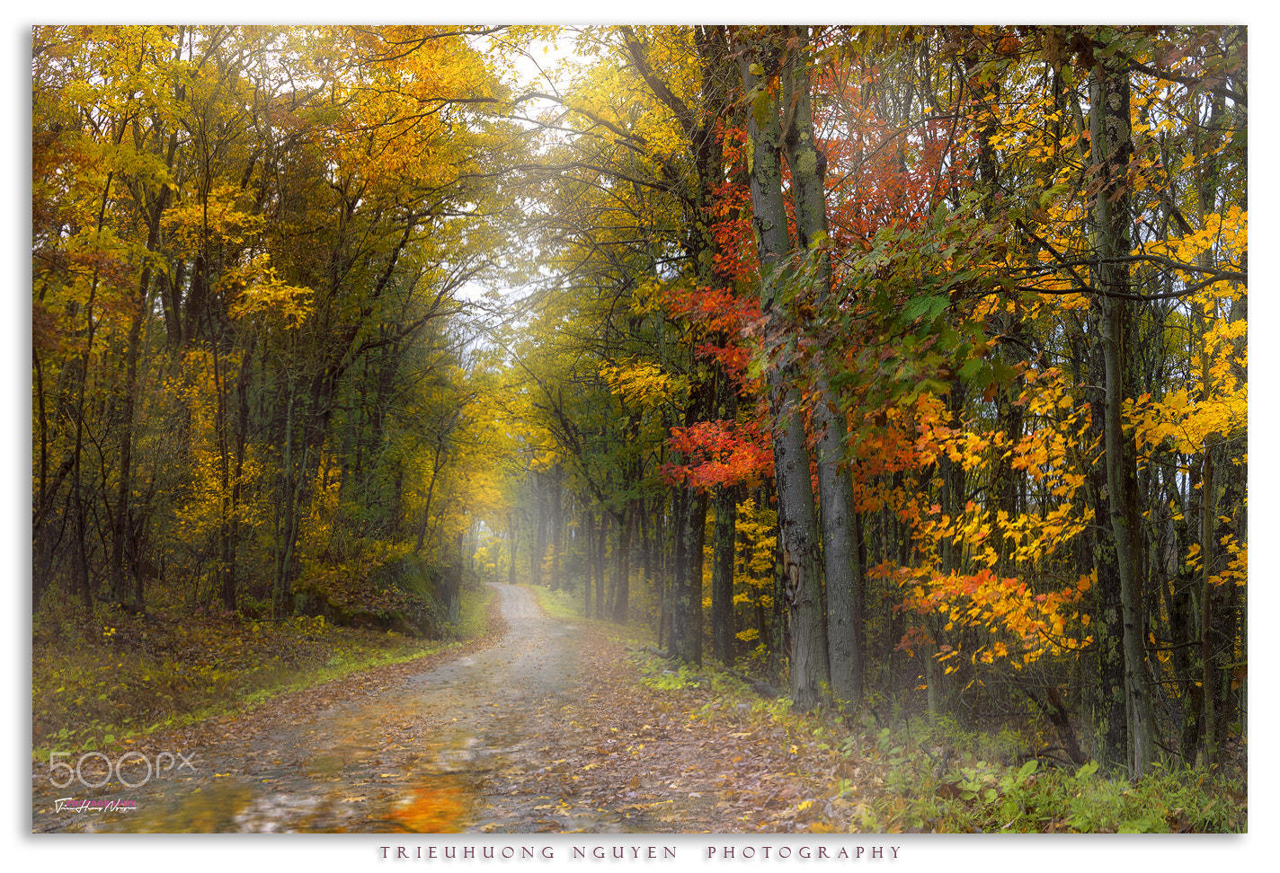 Nikon AF-S Nikkor 17-35mm F2.8D ED-IF sample photo. Autumn rain @ swallow falls state park, maryland photography