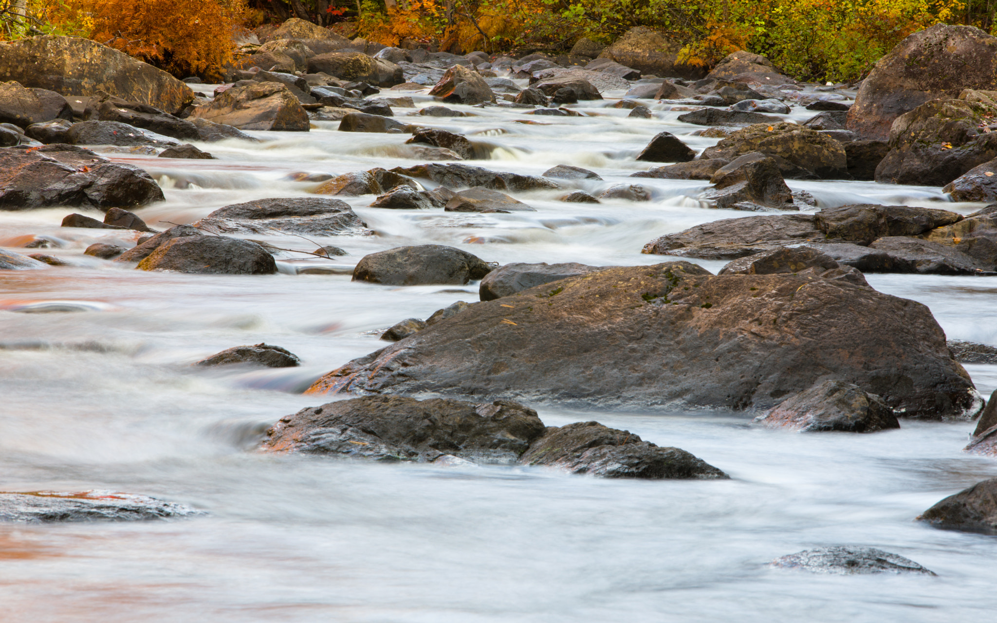 Canon EF 70-200mm F2.8L IS USM sample photo. Doncaster park, fall scenery photography