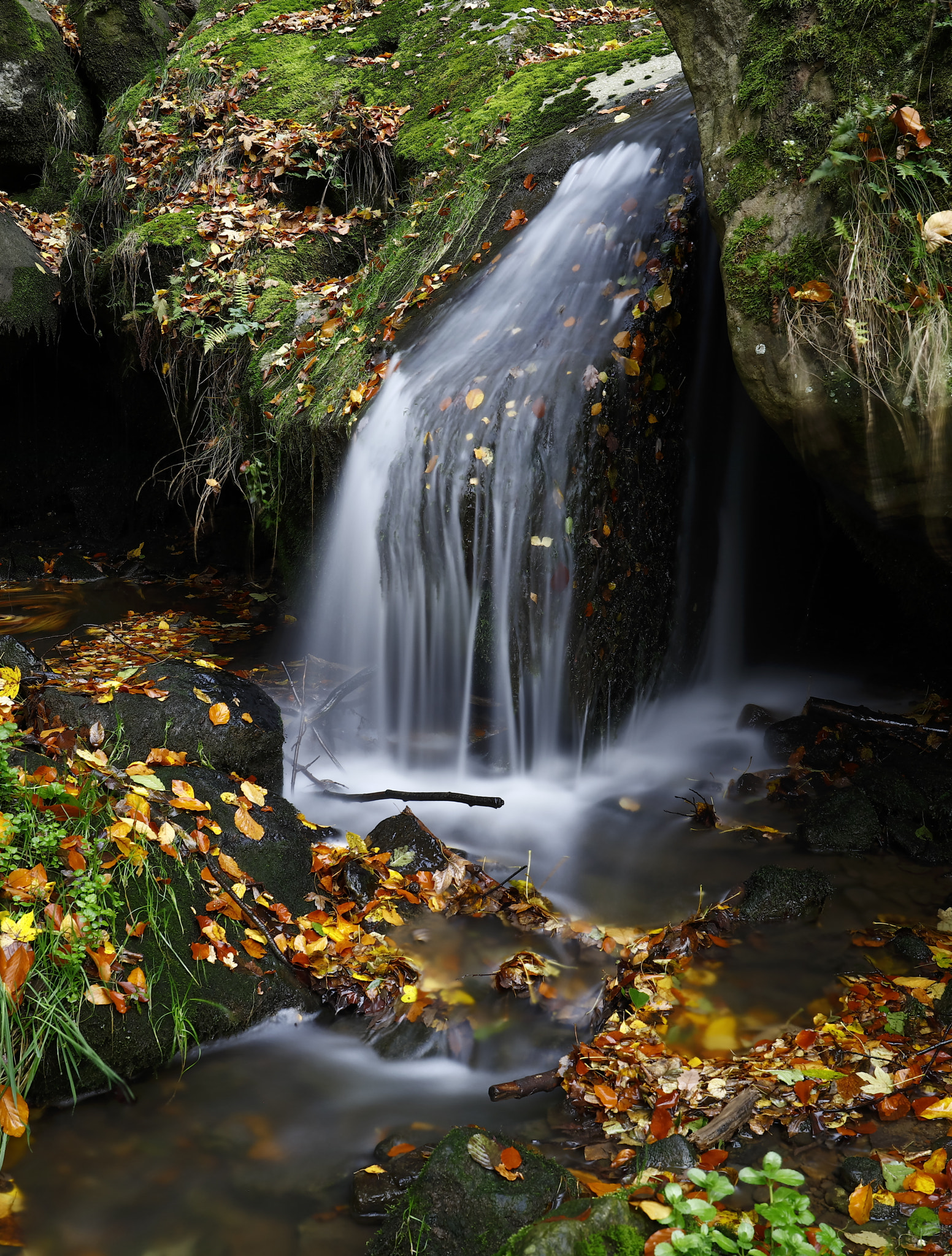 Canon EF 24-70mm F4L IS USM sample photo. Water in motion photography