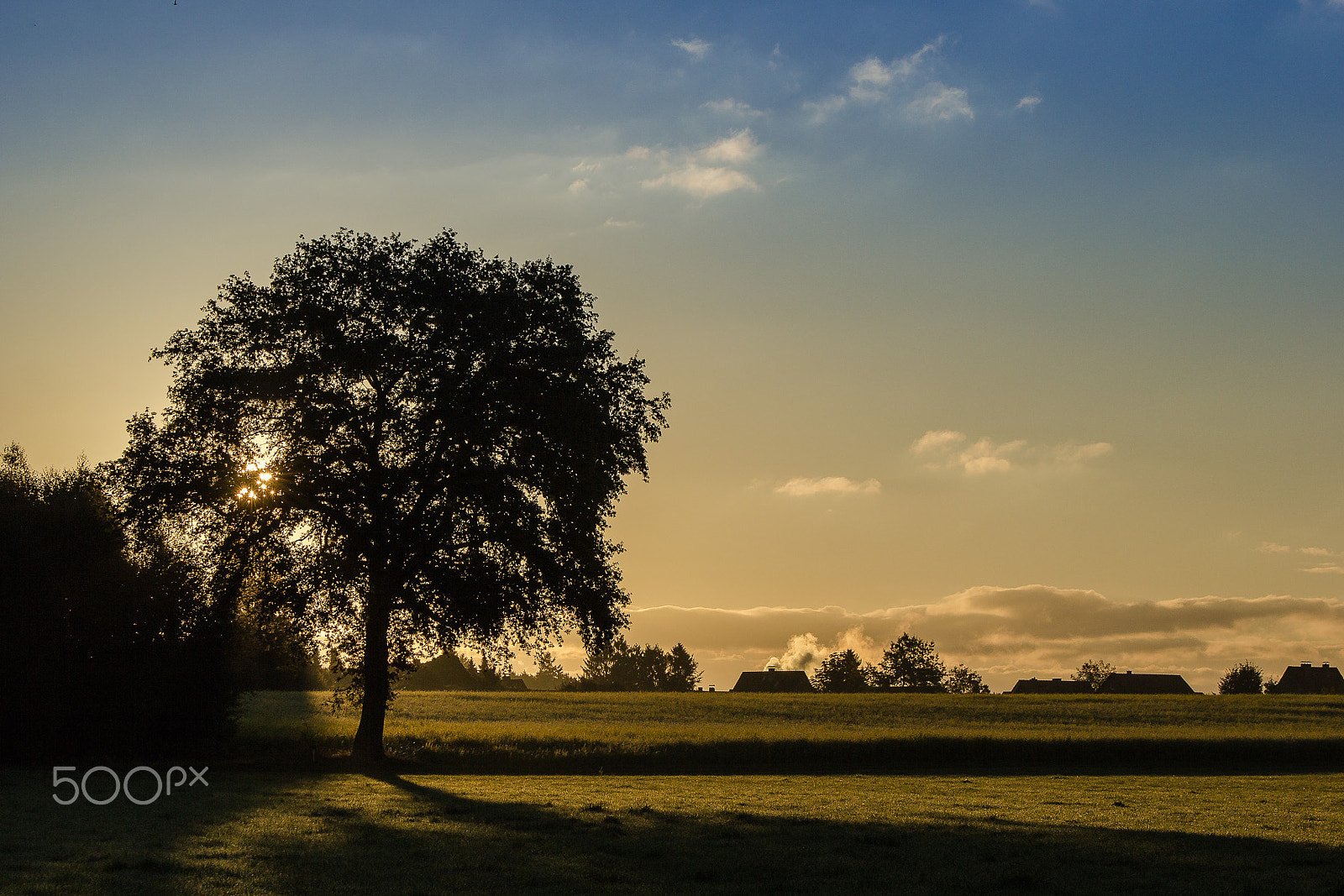 Sigma 70-200mm F2.8 EX DG OS HSM sample photo. Autumn morning photography