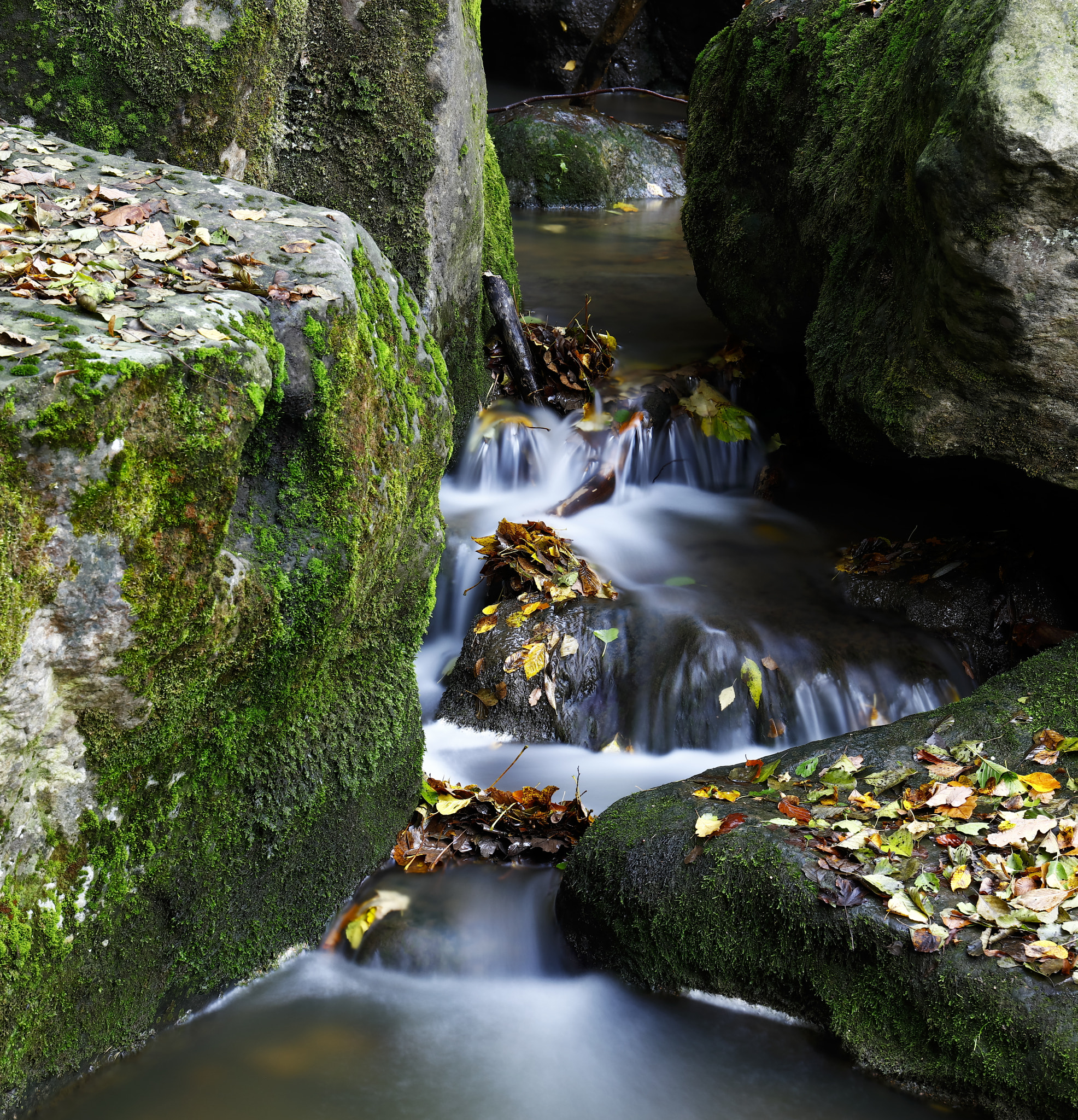 Canon EF 24-70mm F4L IS USM sample photo. Water in motion photography