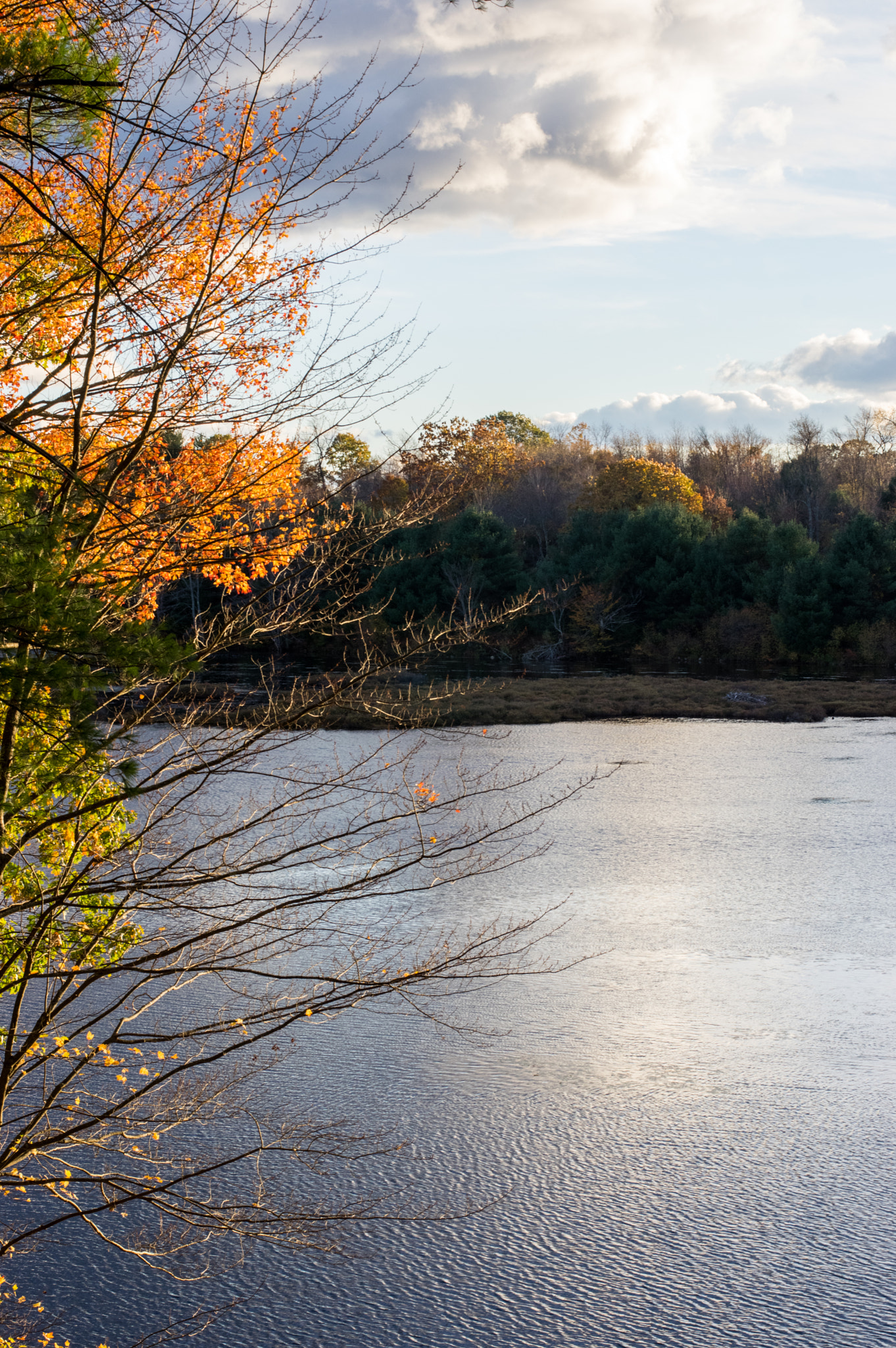 smc PENTAX-FA Macro 50mm F2.8 sample photo. Lakeside photography