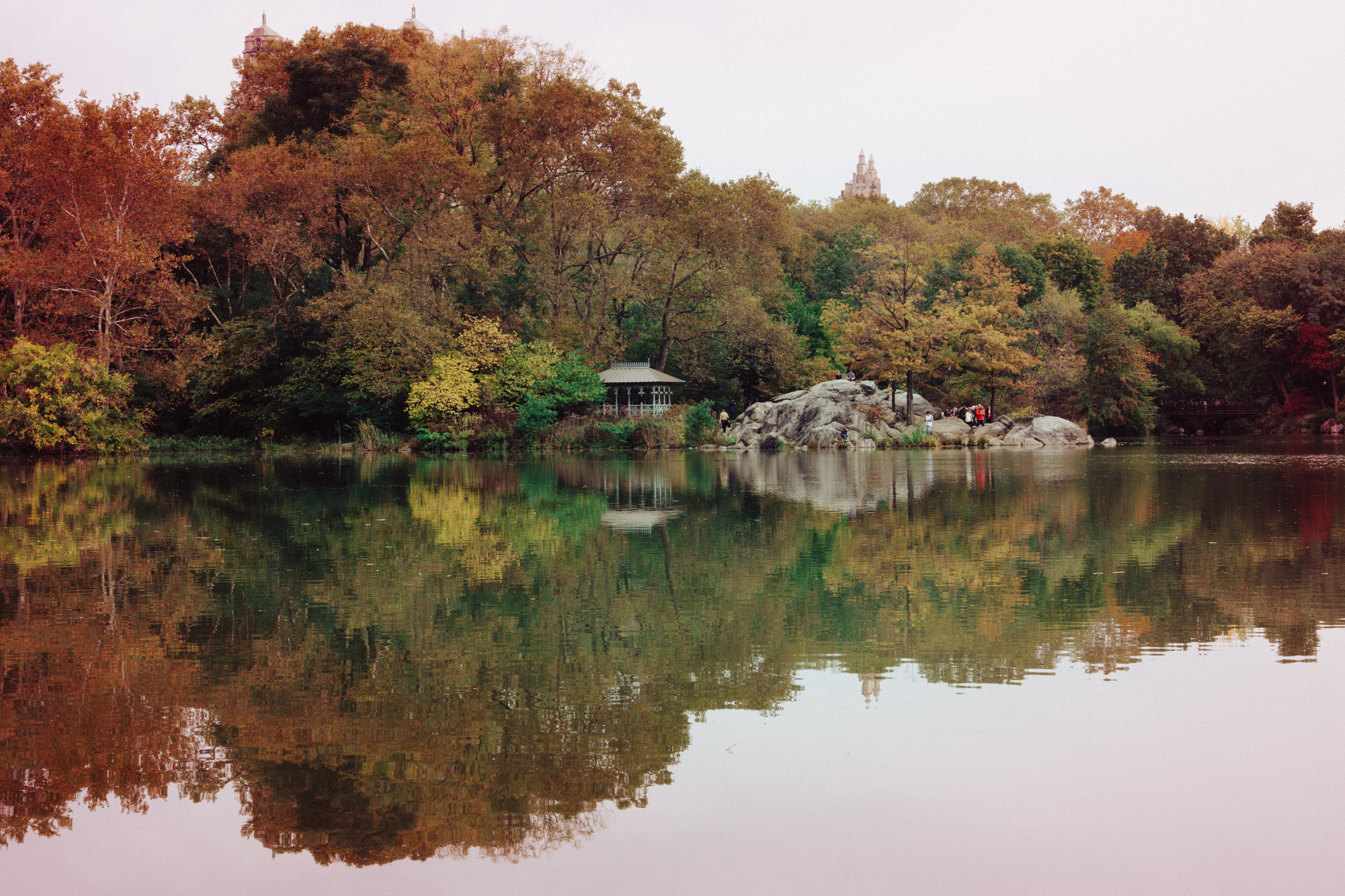 ZEISS Makro-Planar T* 50mm F2 sample photo. Central park photography