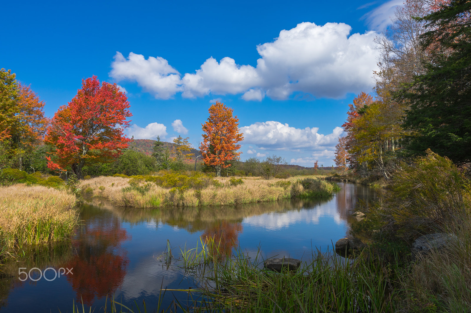 Pentax K-3 II sample photo. Still autumn blackwater reflections photography
