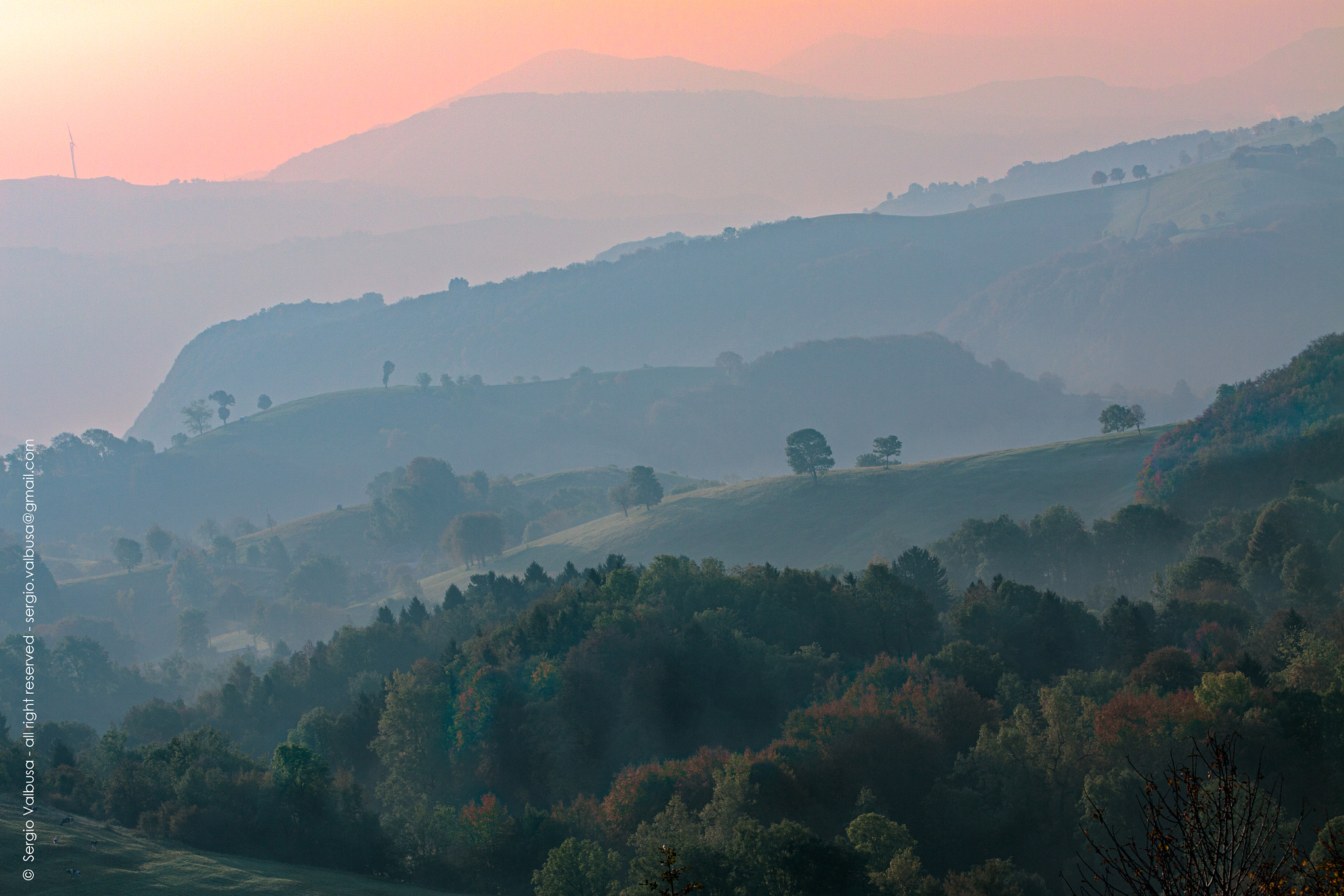 Canon EF 70-200mm F2.8L USM sample photo. Parparo photography