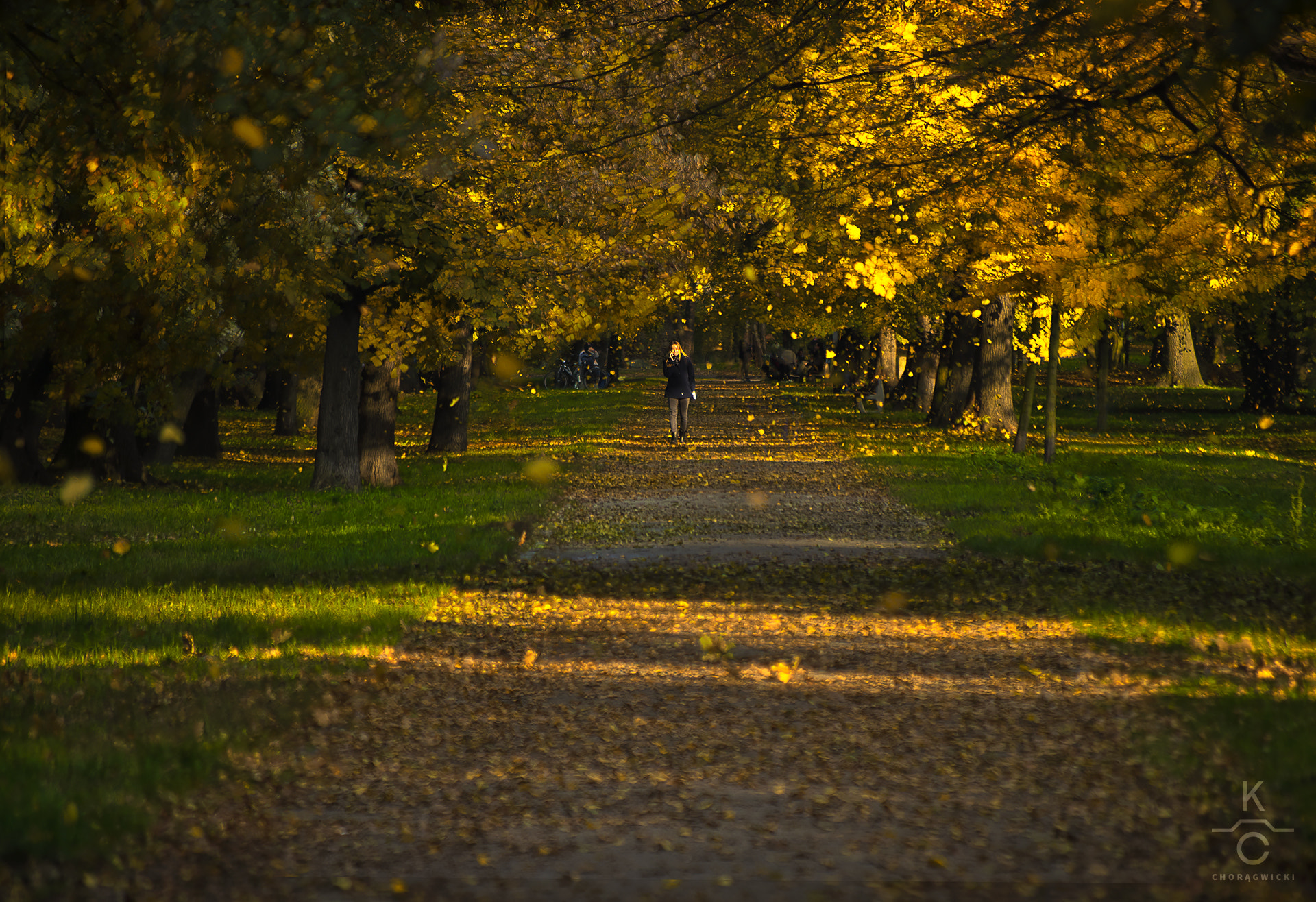 Pentax K-3 sample photo. Autumn walk photography