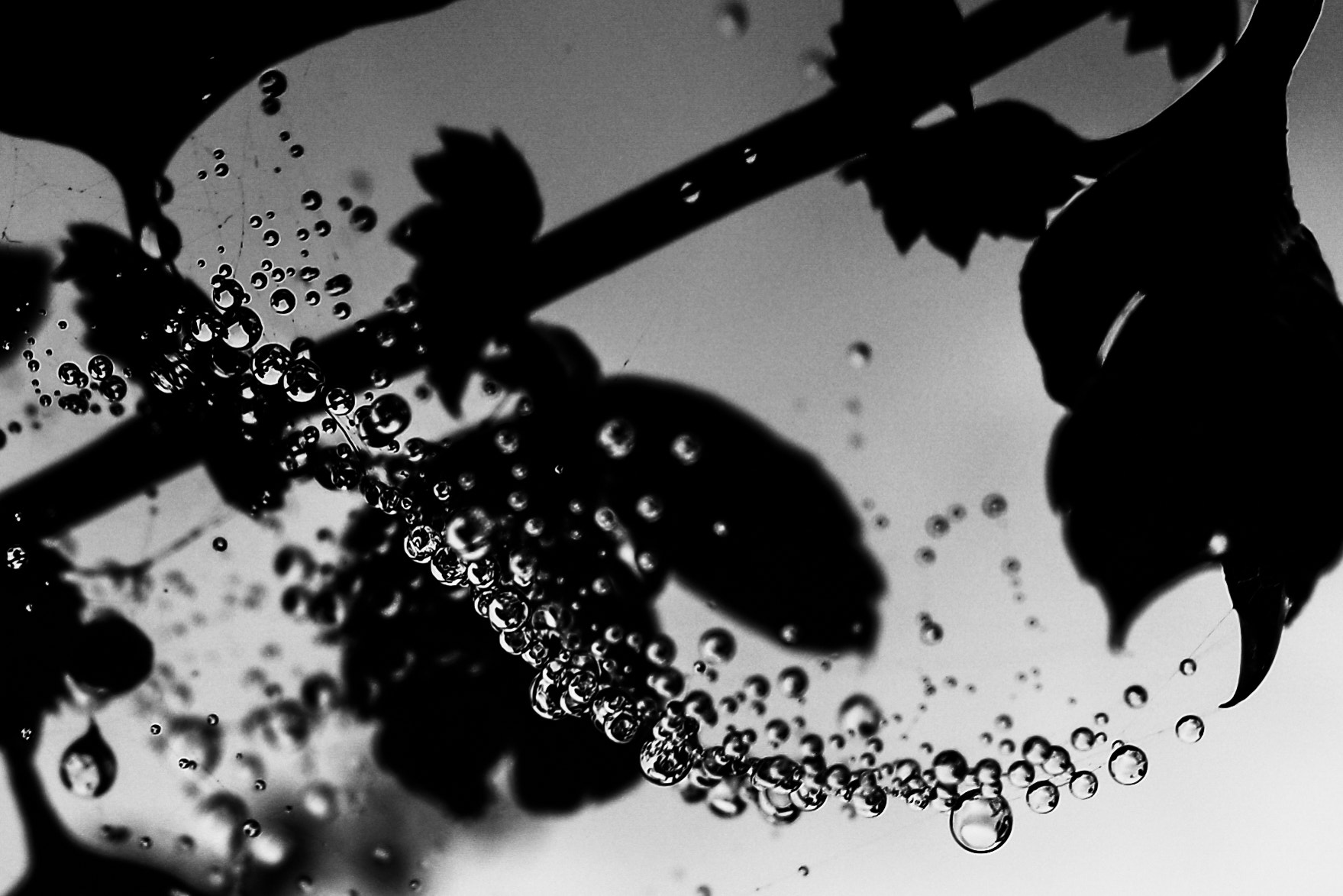 Samsung NX 16-50mm F3.5-5.6 Power Zoom ED OIS sample photo. Drip photography