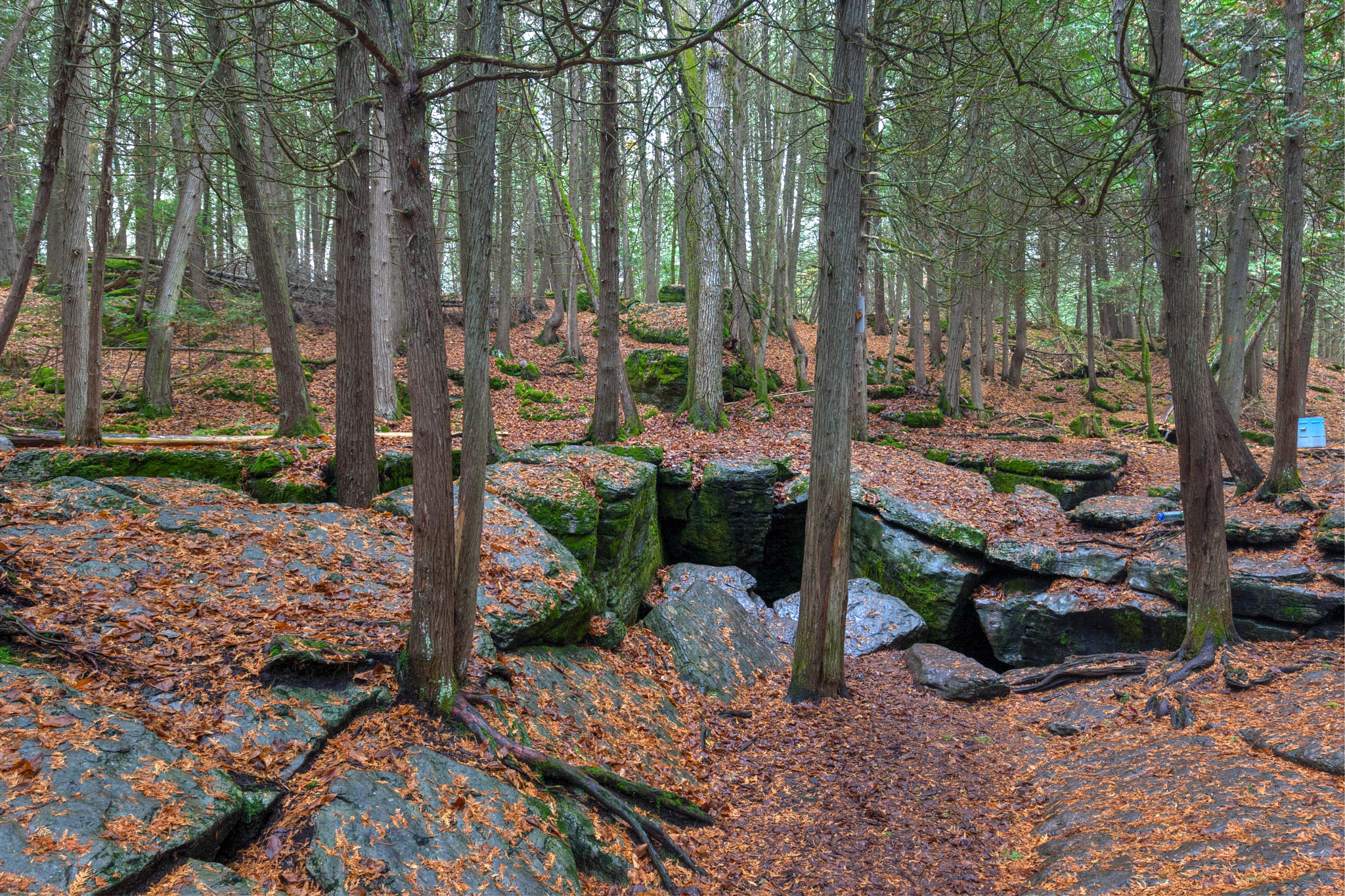 Canon EF 16-35mm F4L IS USM sample photo. Warsaw caves photography