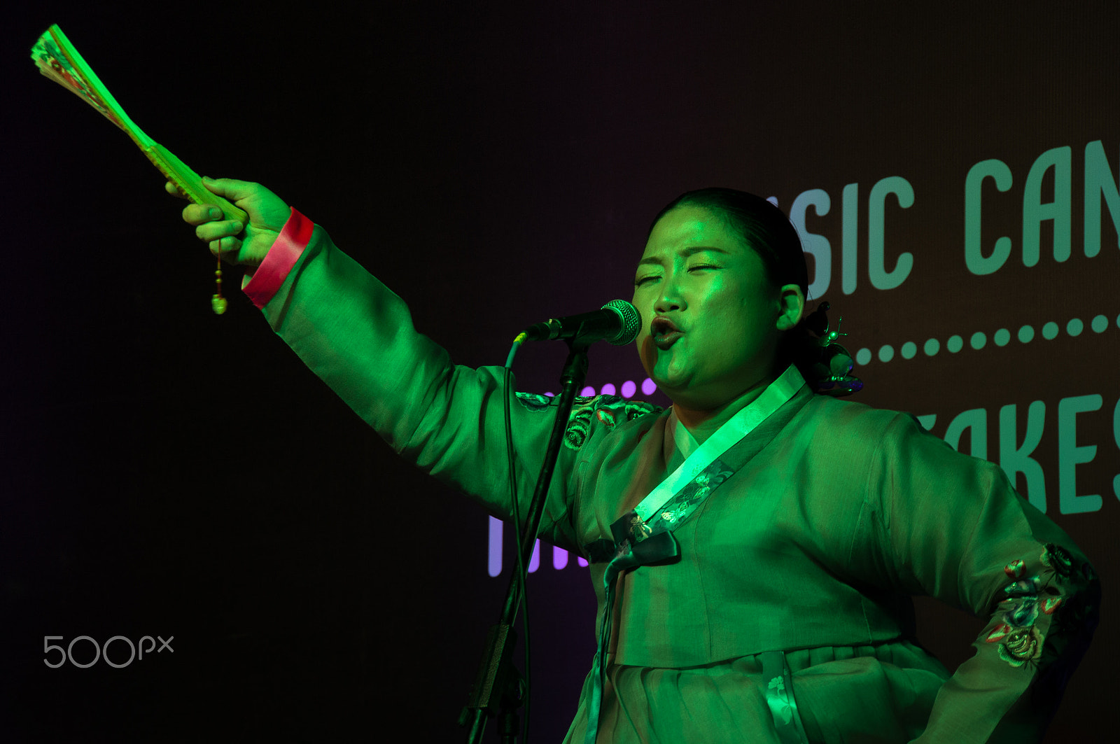 Tamron 18-270mm F3.5-6.3 Di II PZD sample photo. World music ensemble photography
