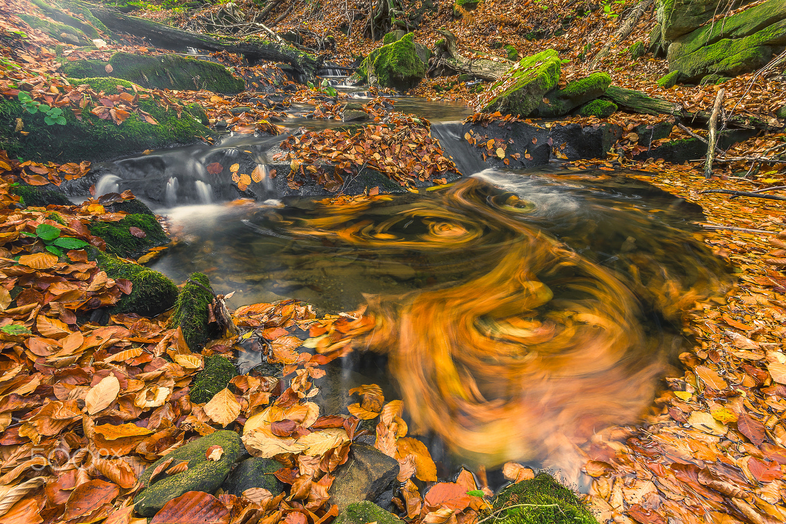 Pentax K-S2 sample photo. Autumn vertigo..... photography