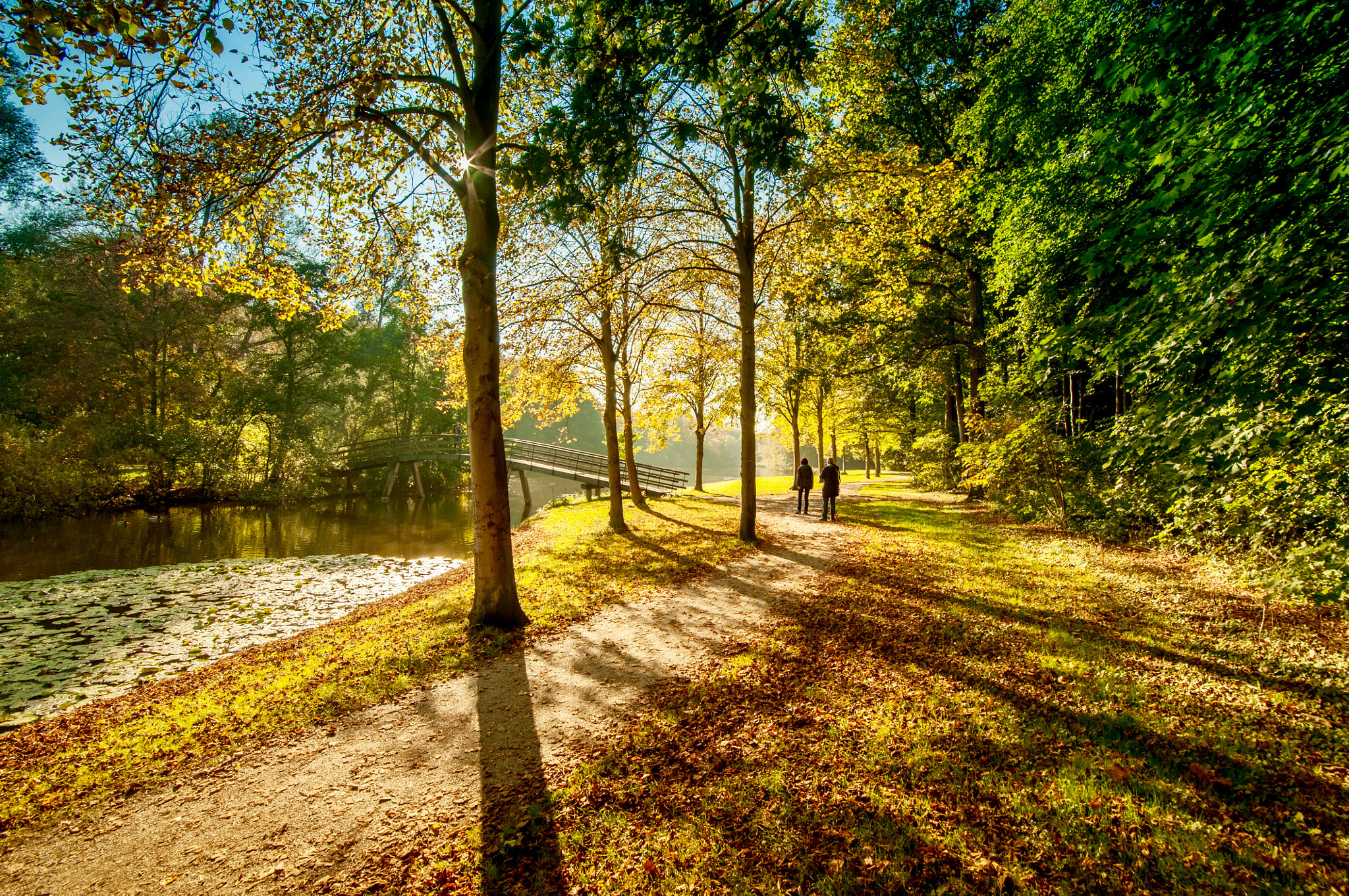 Samyang 14mm F2.8 ED AS IF UMC sample photo. Begin autumn in the citypark of den haque, holland photography