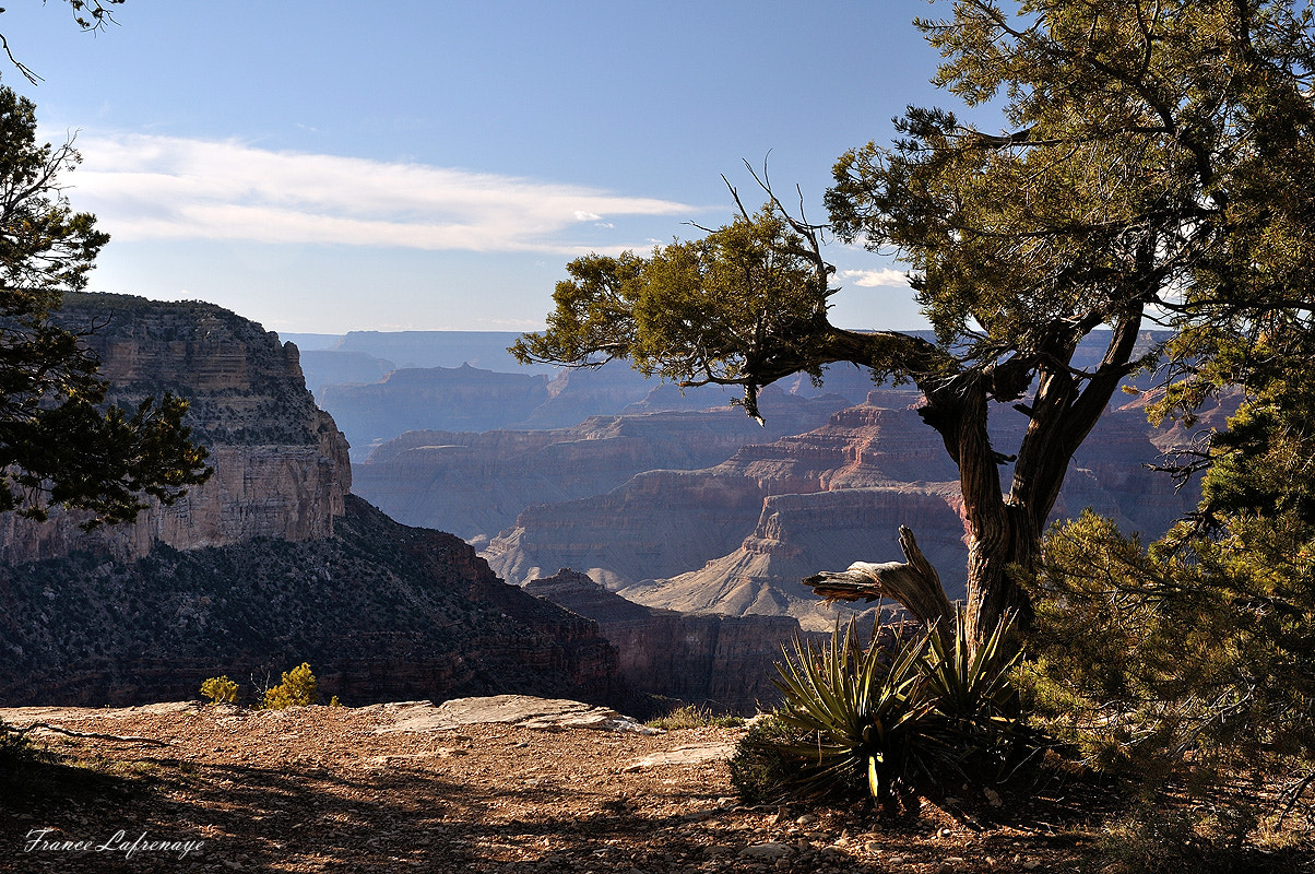 Sigma 17-70mm F2.8-4 DC Macro OS HSM | C sample photo. Plus grans que nature ! photography