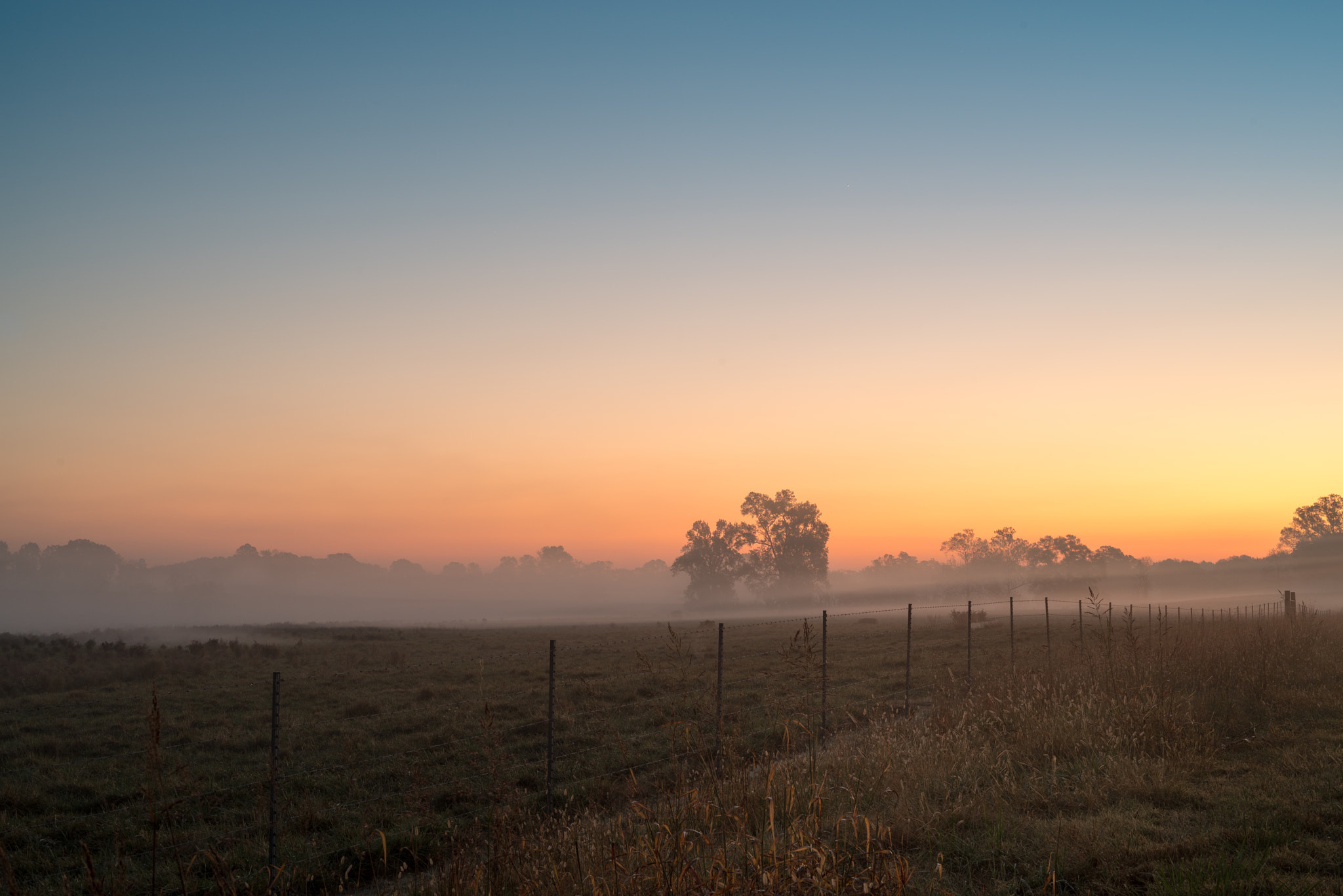 Pentax K-1 sample photo. Morning fog photography