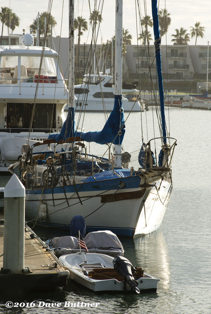 Nikon AF-Nikkor 80-200mm F2.8D ED sample photo. 161029-009.jpg photography