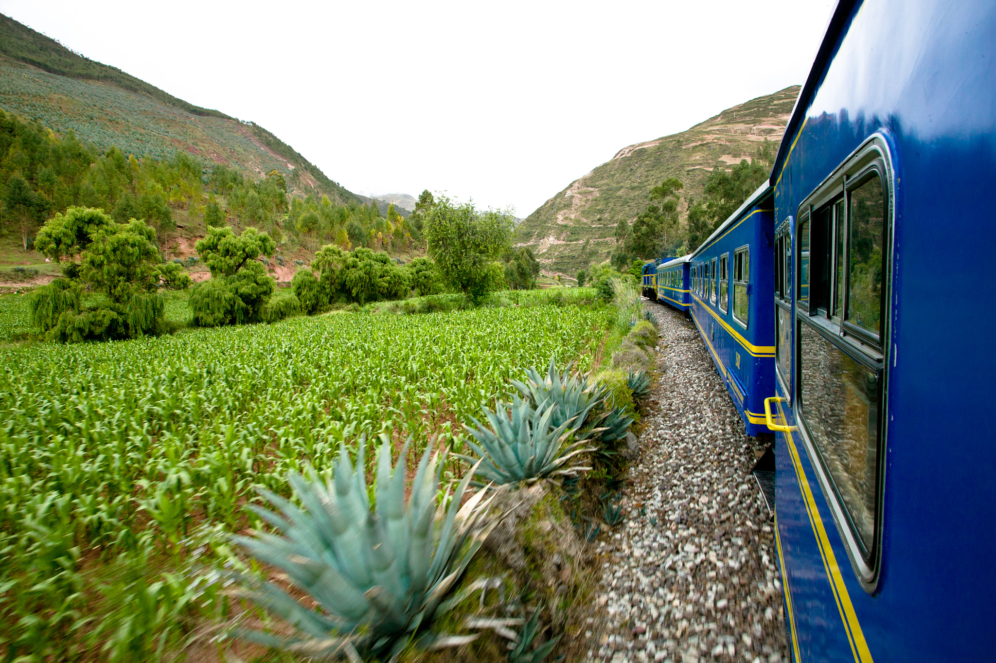 Canon EOS-1Ds + Canon EF 17-40mm F4L USM sample photo. Train to machu picchu photography
