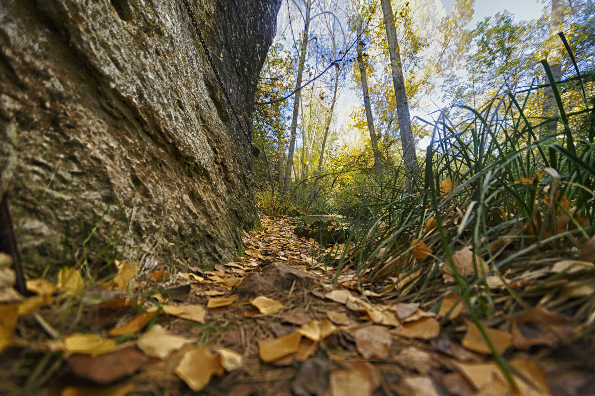 Nikon D700 + Sigma 14mm F2.8 EX Aspherical HSM sample photo. Pasadizo estrecho photography