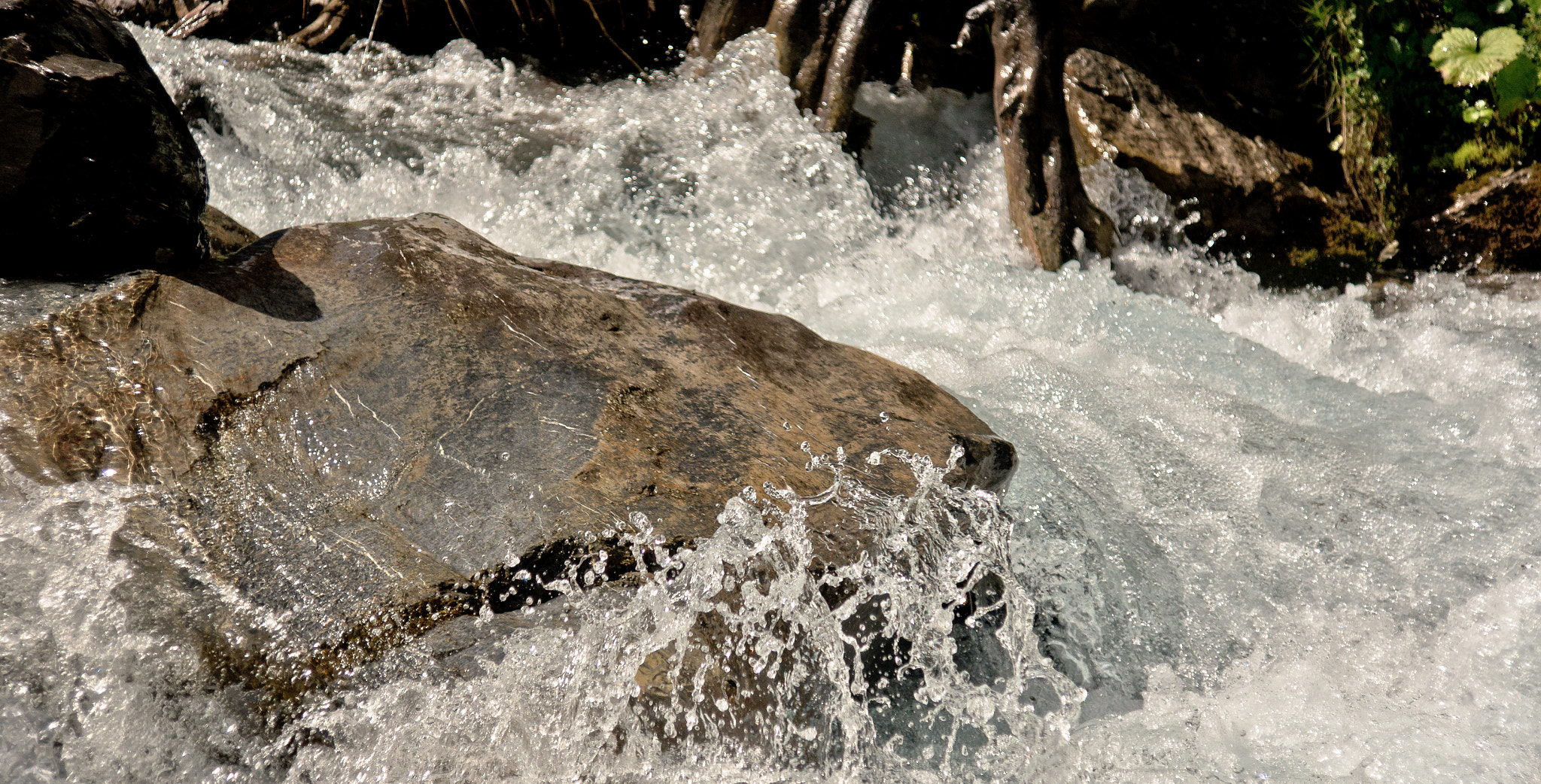 Sony DT 16-105mm F3.5-5.6 sample photo. Ducanbach photography