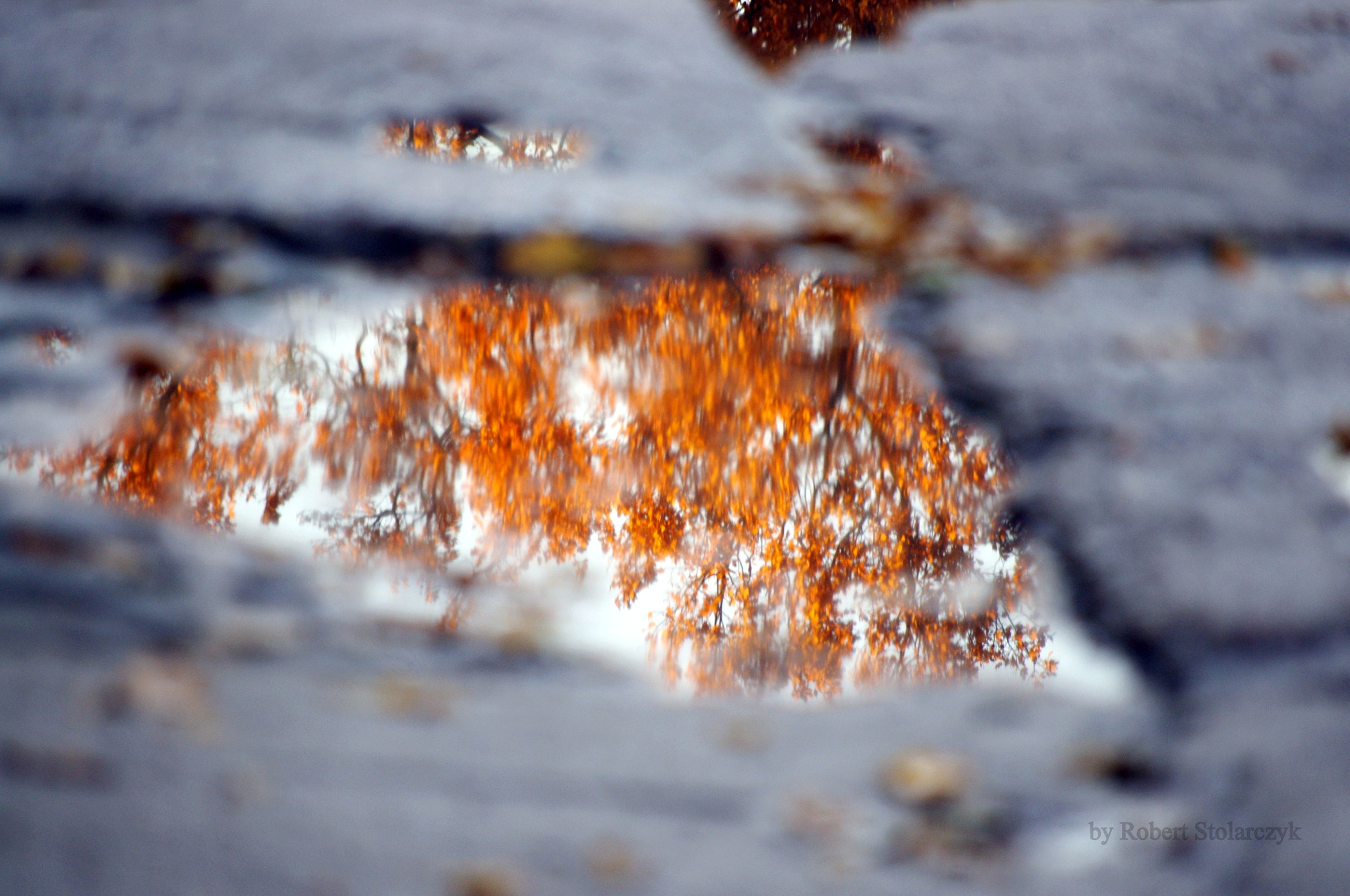 Pentax K-x sample photo. A puddle photography