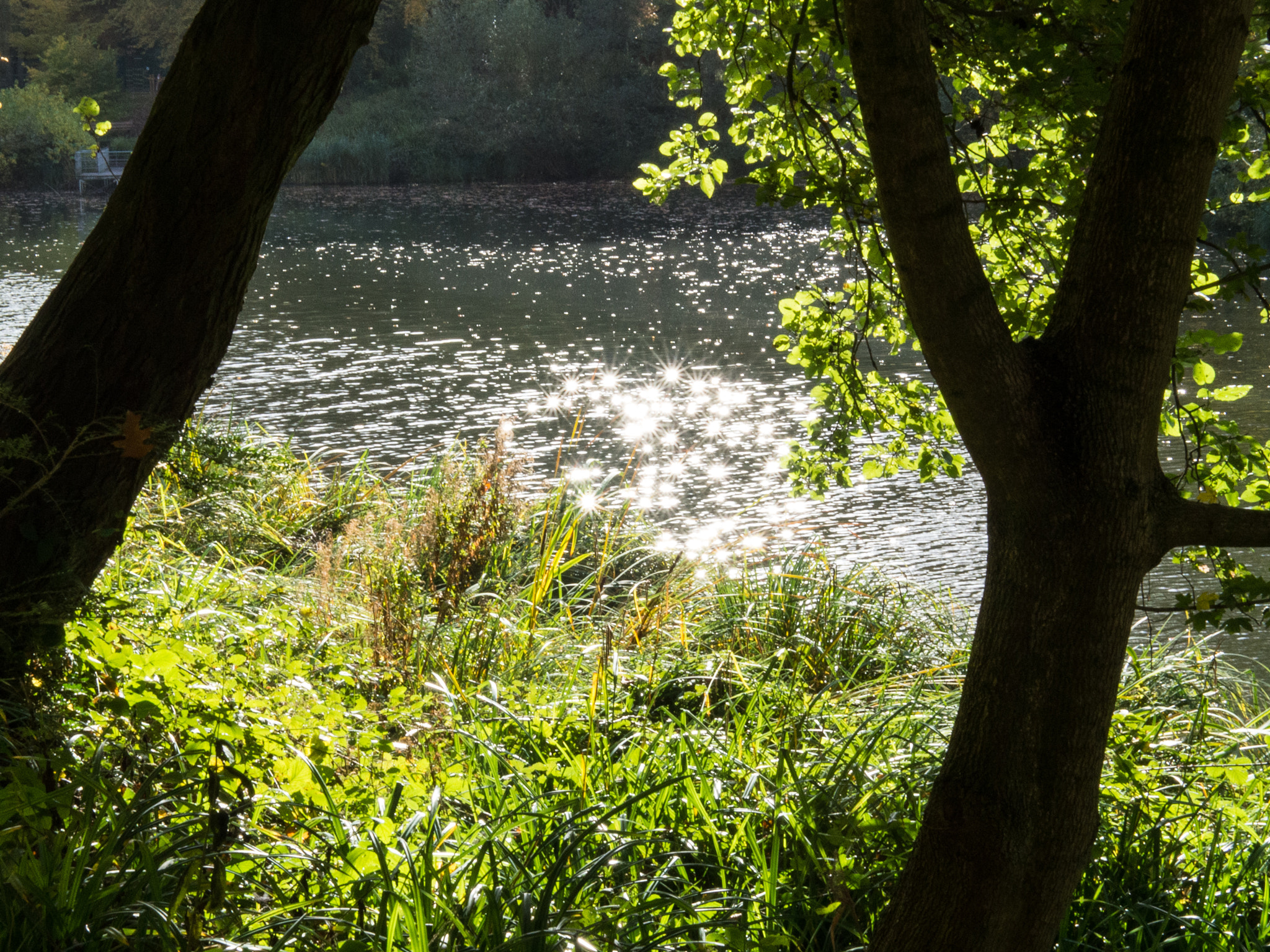Olympus OM-D E-M10 + LUMIX G 25/F1.7 sample photo. Das revier leuchtet photography