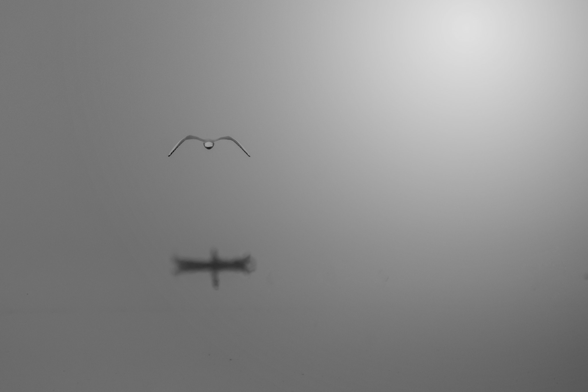 Nikon D5100 + Tamron SP 150-600mm F5-6.3 Di VC USD sample photo. Seagull and boat photography