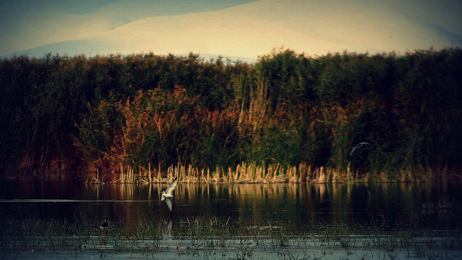 Sony DT 55-200mm F4-5.6 SAM sample photo. Eber lakes iii photography