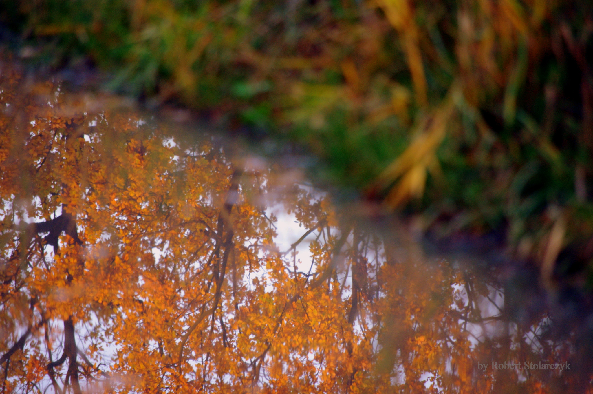 Pentax K-x + smc PENTAX-DA L 50-200mm F4-5.6 ED sample photo. Autumn reflection photography