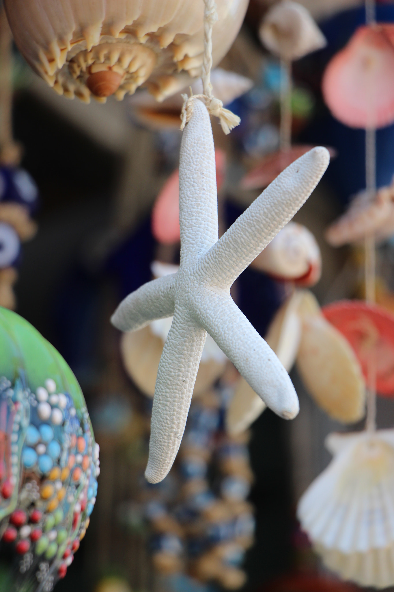 Canon EF 24-85mm F3.5-4.5 USM sample photo. Canon melike photography