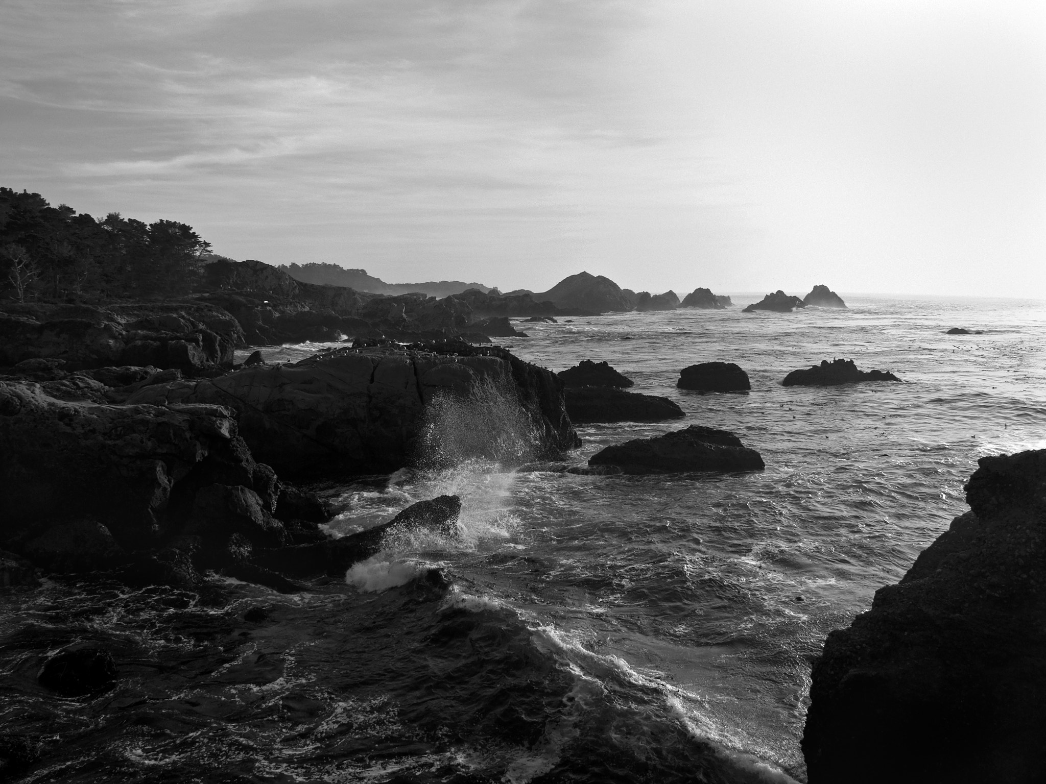 Canon POWERSHOT PRO1 sample photo. Point lobos carmel california photography