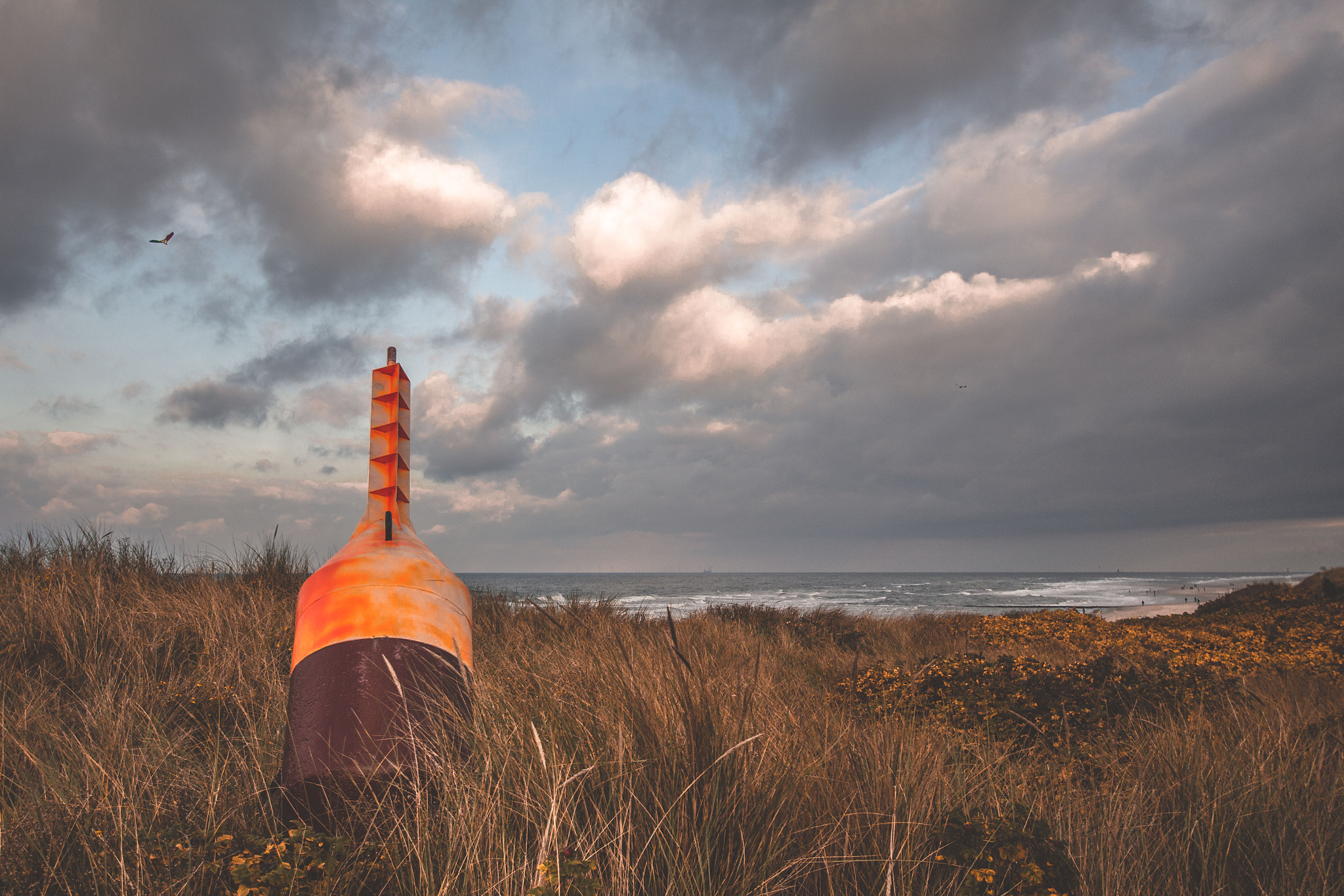 Sigma 10-20mm F3.5 EX DC HSM sample photo. Buoy photography