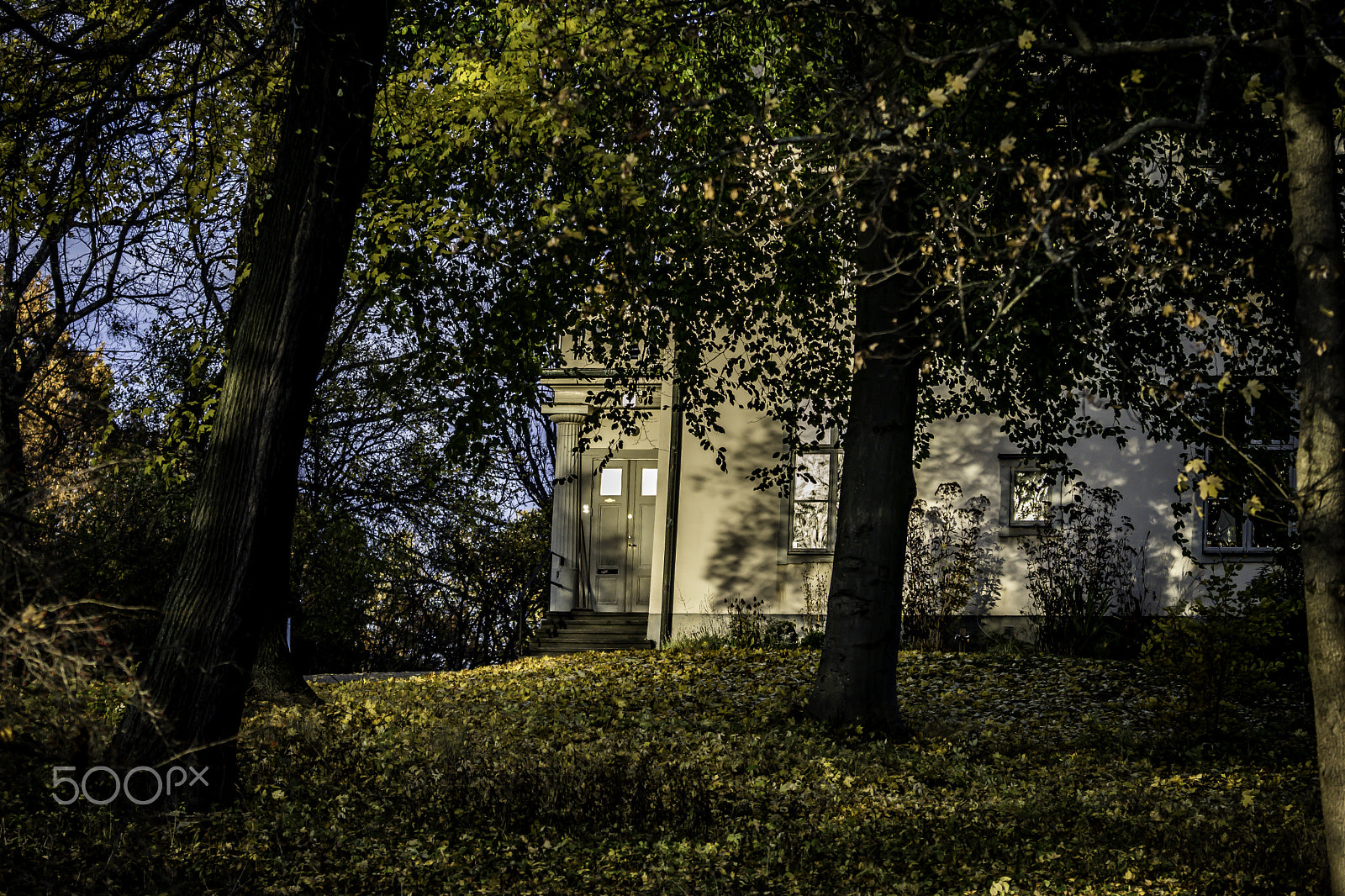 70-200mm F2.8 sample photo. Autumn garden photography