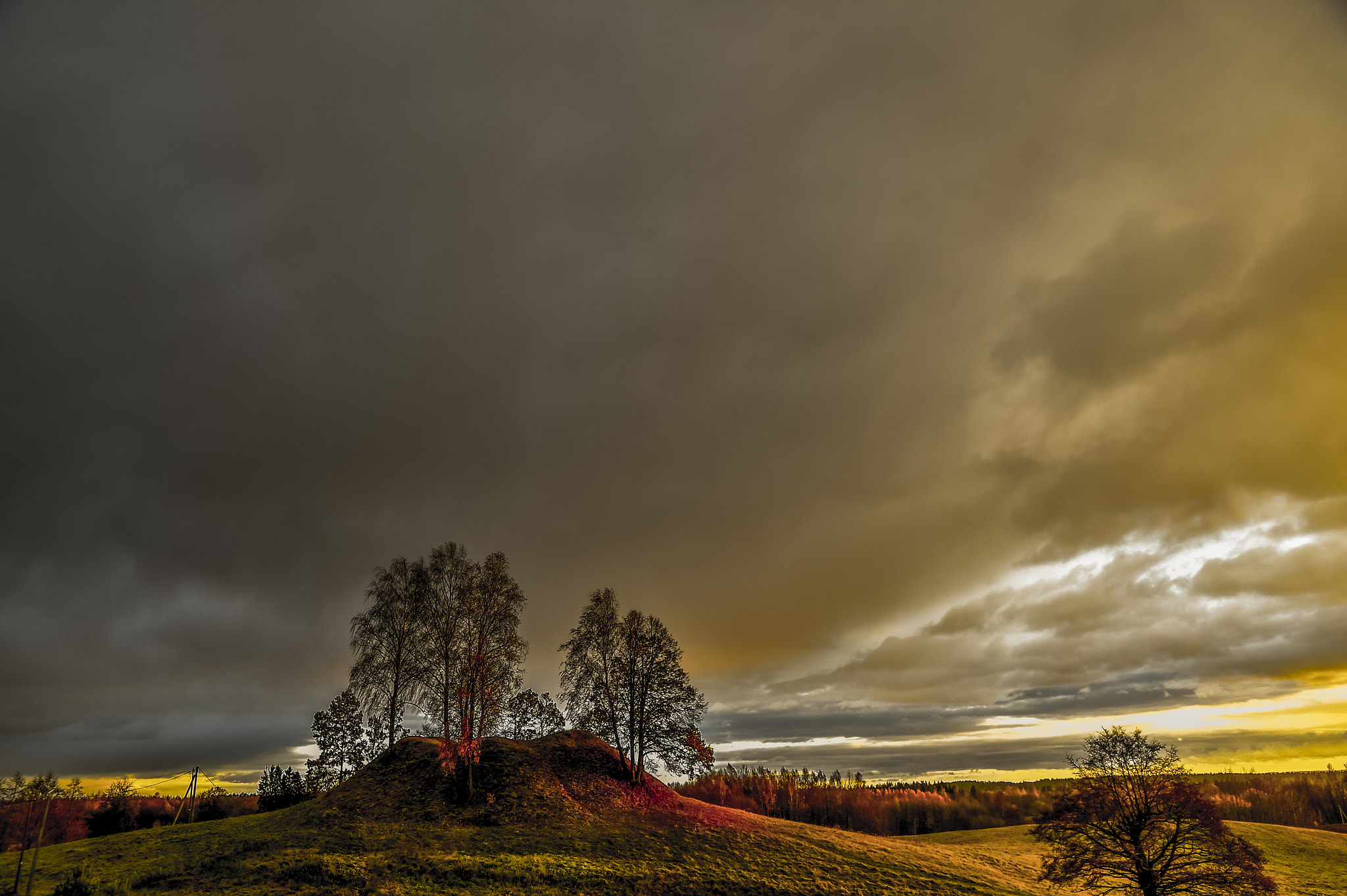 Nikon D4S sample photo. Autumn lithuania photography