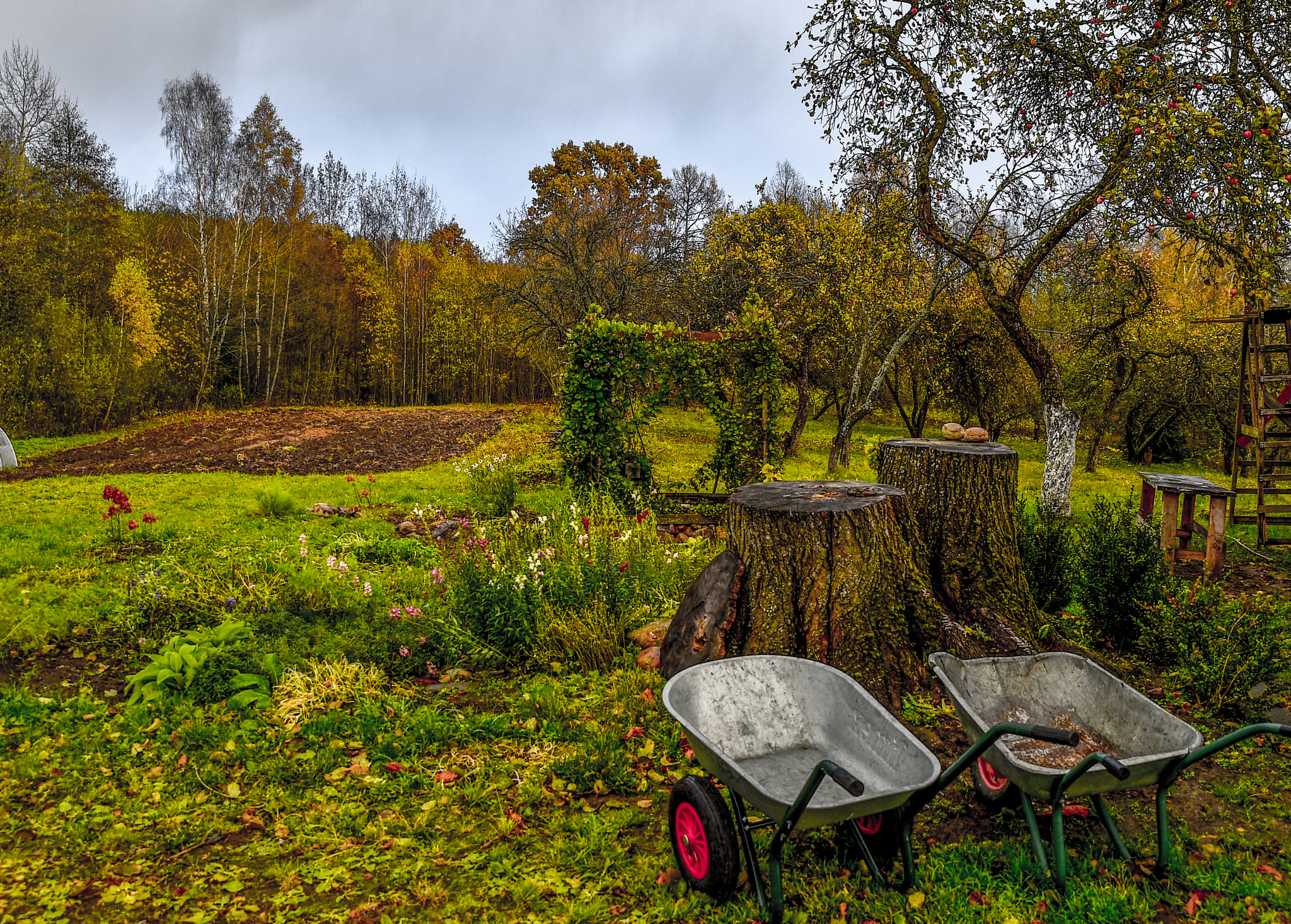 Nikon D4S sample photo. Autumn lithuania photography