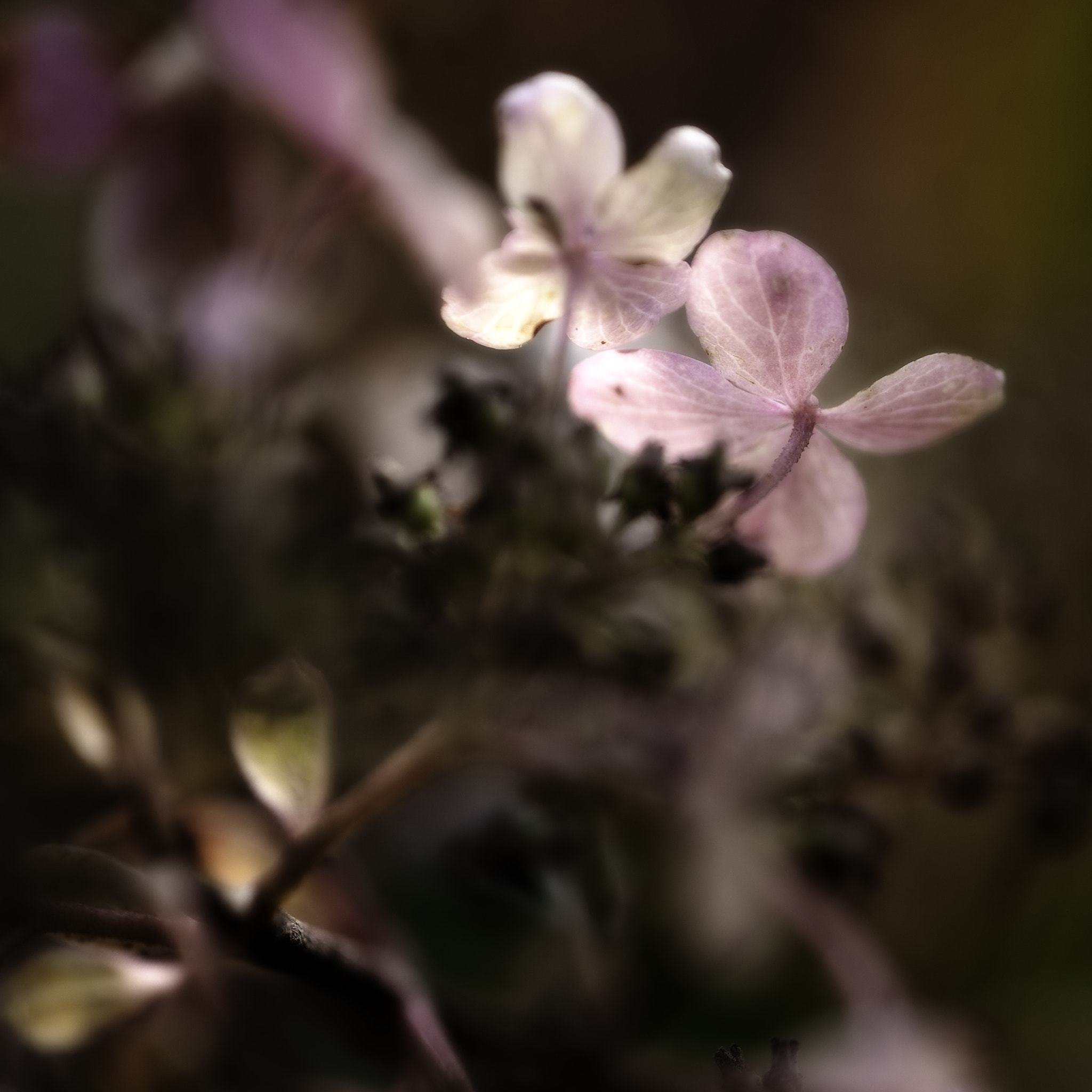 Nikon D3 sample photo. Op zoek naar licht photography
