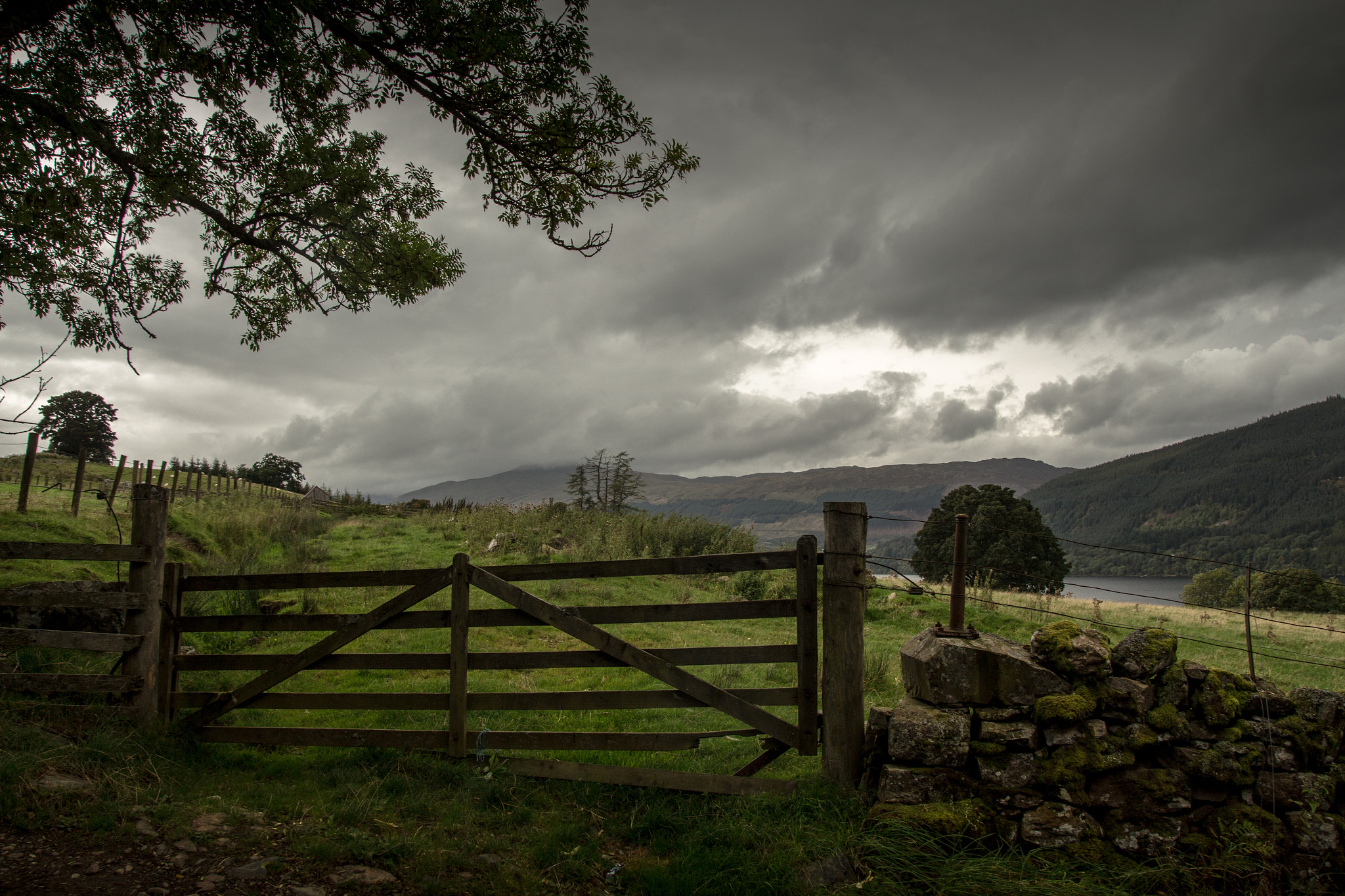 Tamron SP AF 17-50mm F2.8 XR Di II LD Aspherical (IF) sample photo. Drummond hill, tay forest park photography