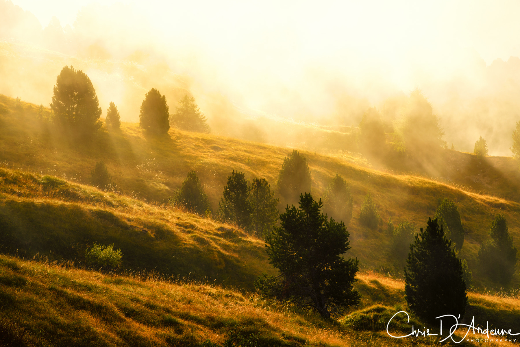 Sony a7R II + Canon EF 24-105mm F4L IS USM sample photo. Morning mist photography