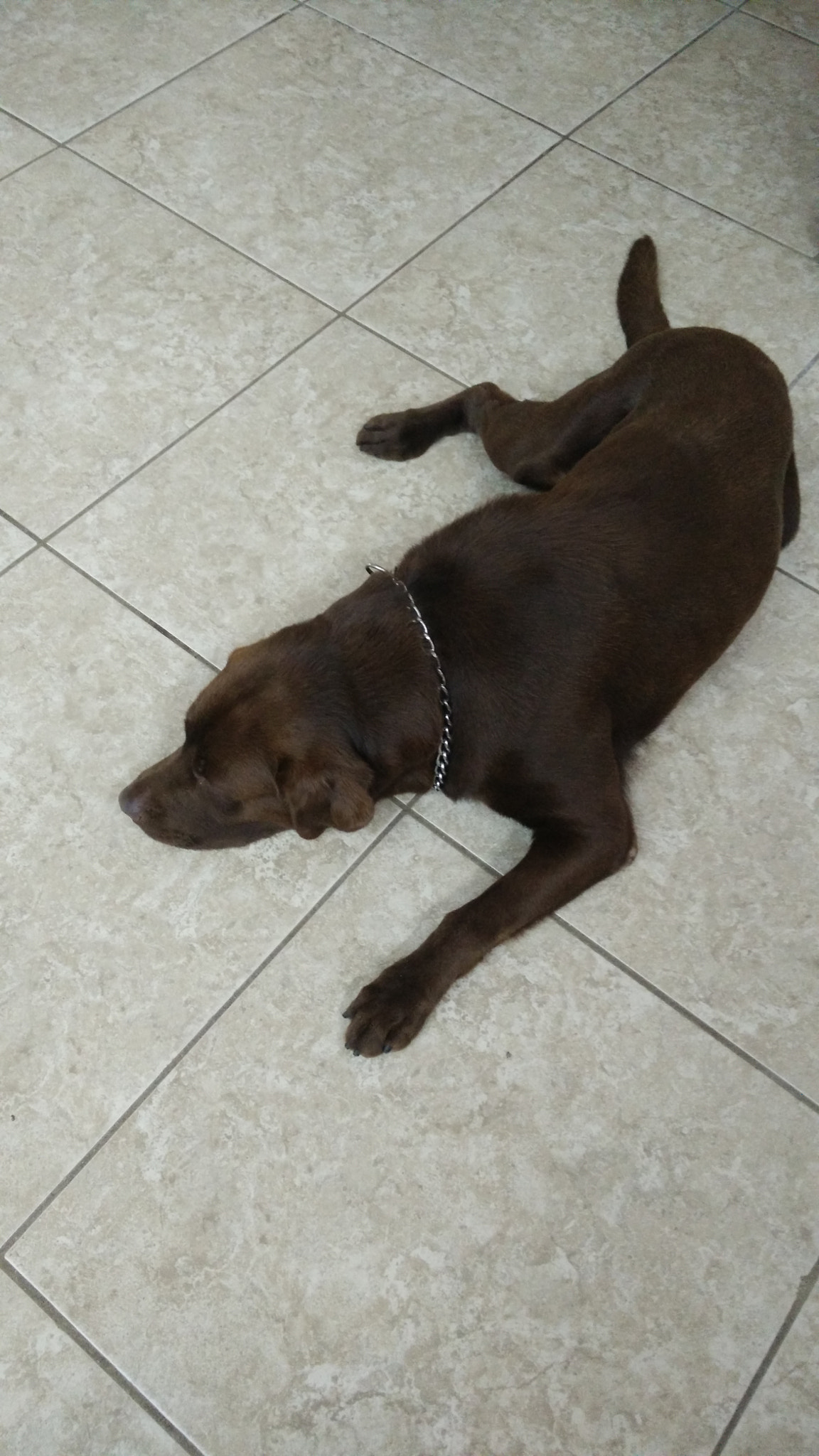 OnePlus ONE sample photo