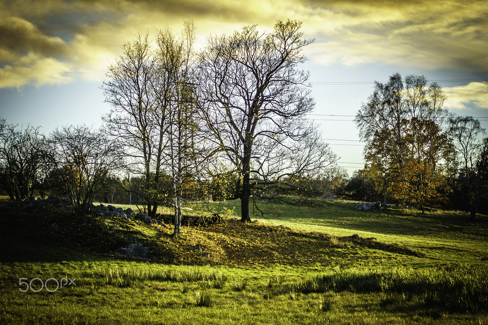 Sony ILCA-77M2 sample photo. Autumn day photography