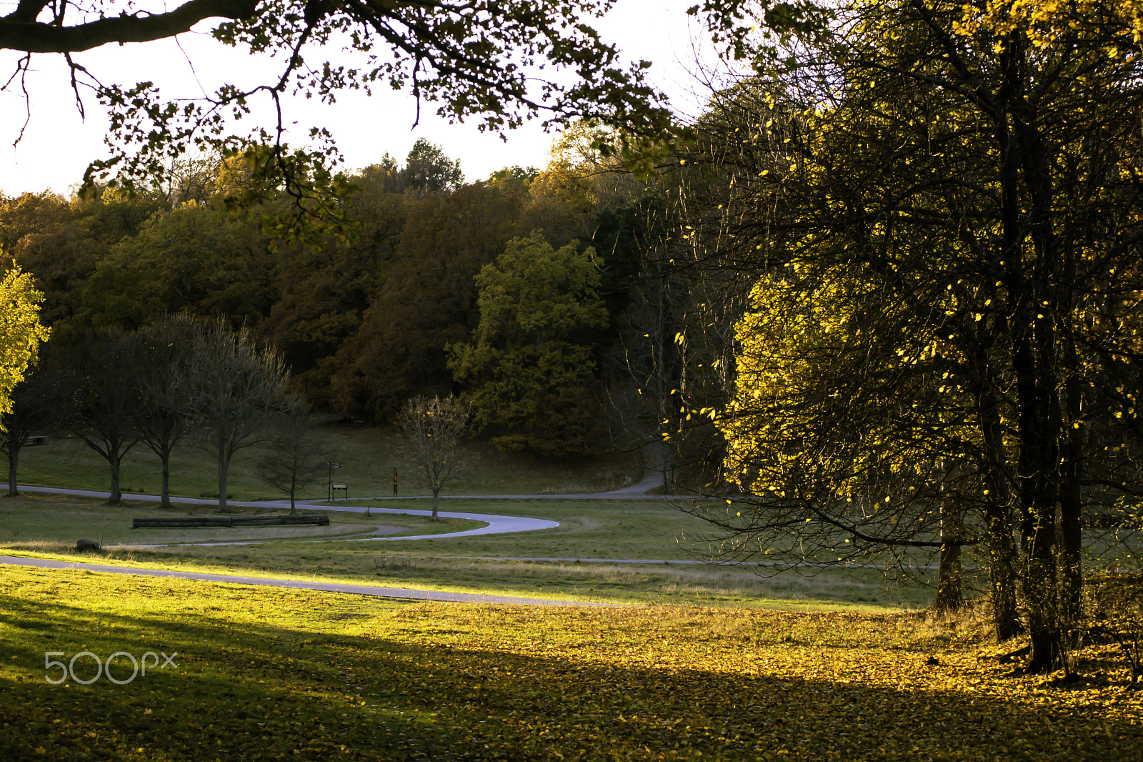 Sony ILCA-77M2 sample photo. Autumn day photography