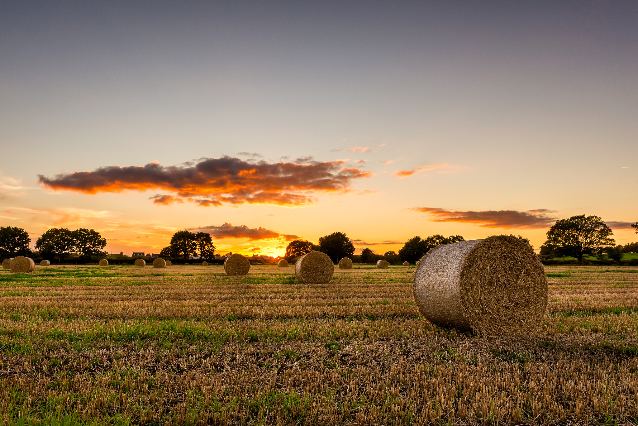 Nikon D610 + Sigma 12-24mm F4.5-5.6 II DG HSM sample photo. Hay photography