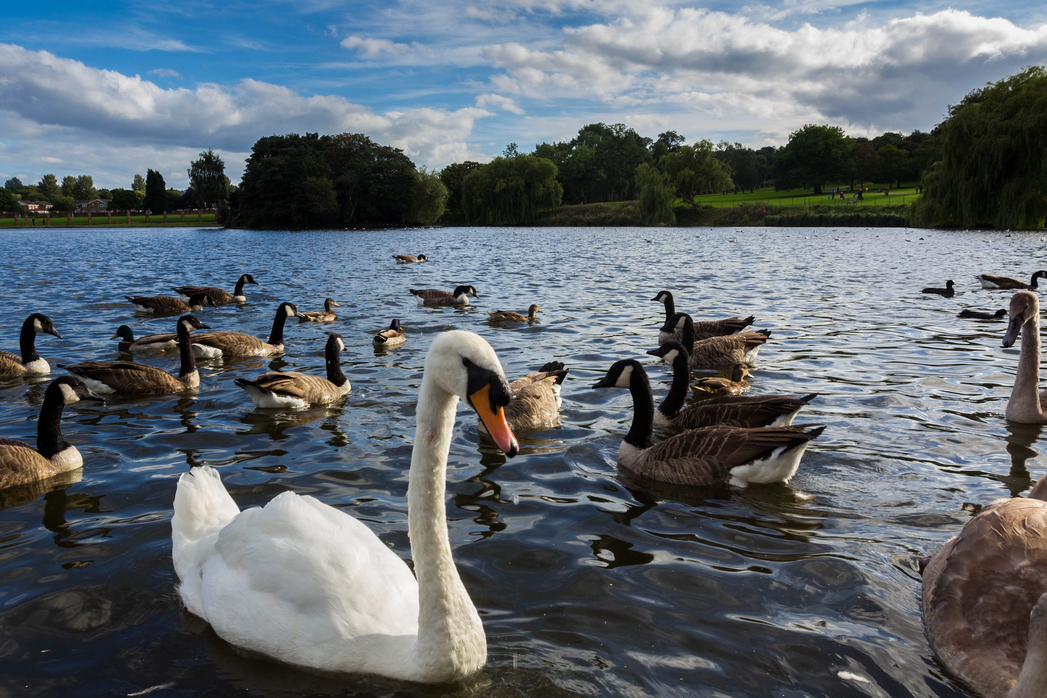 Canon EF 16-35mm F2.8L II USM sample photo. Garden in  birgmingham photography