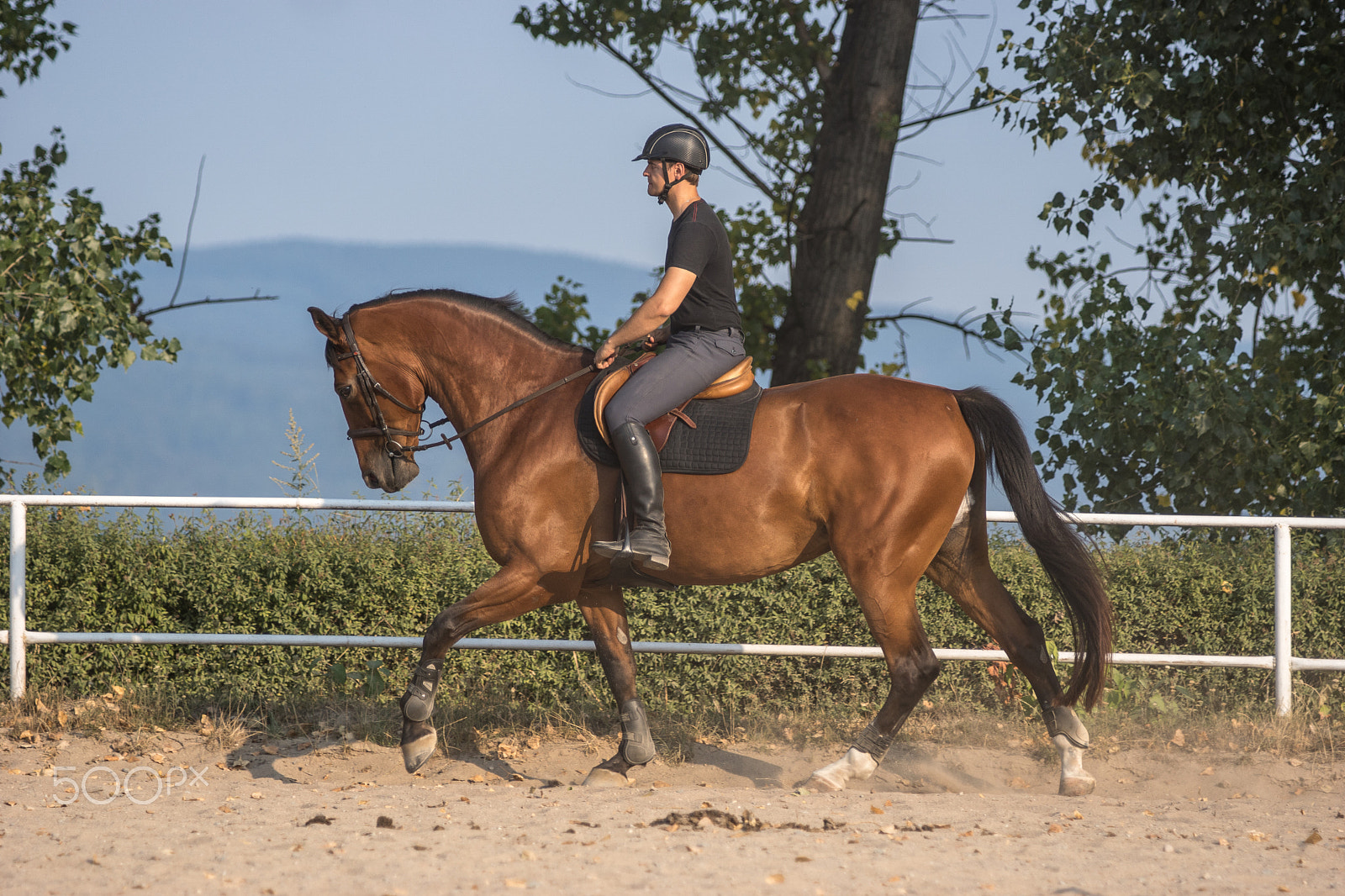 Sony ILCA-77M2 + Minolta/Sony AF 70-200mm F2.8 G sample photo. Autoportrait of me riding a horse photography