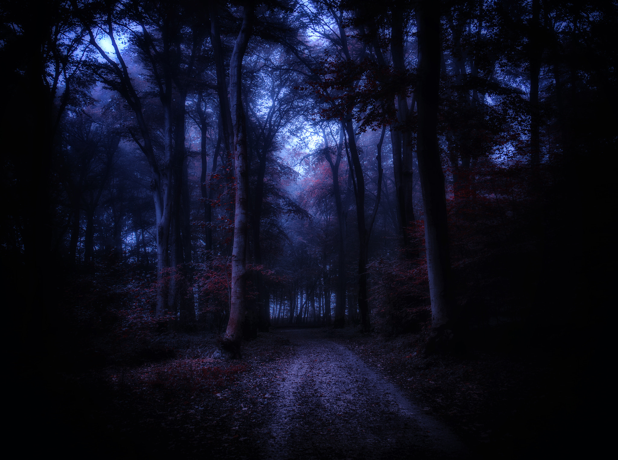 Canon EF 24-70mm F4L IS USM sample photo. **halloween is coming...** photography