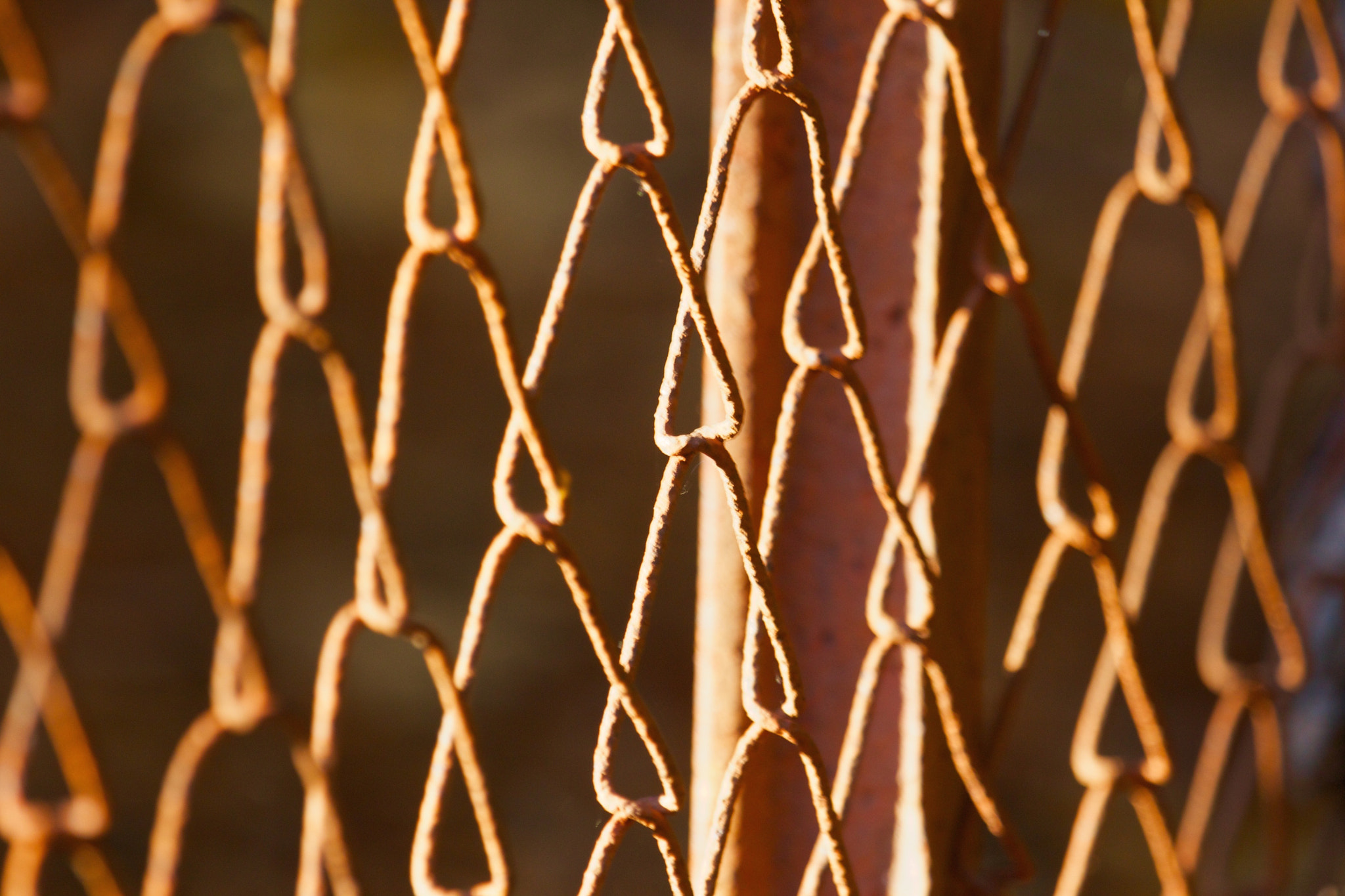 Canon EF 100-400mm F4.5-5.6L IS USM sample photo. Fence photography