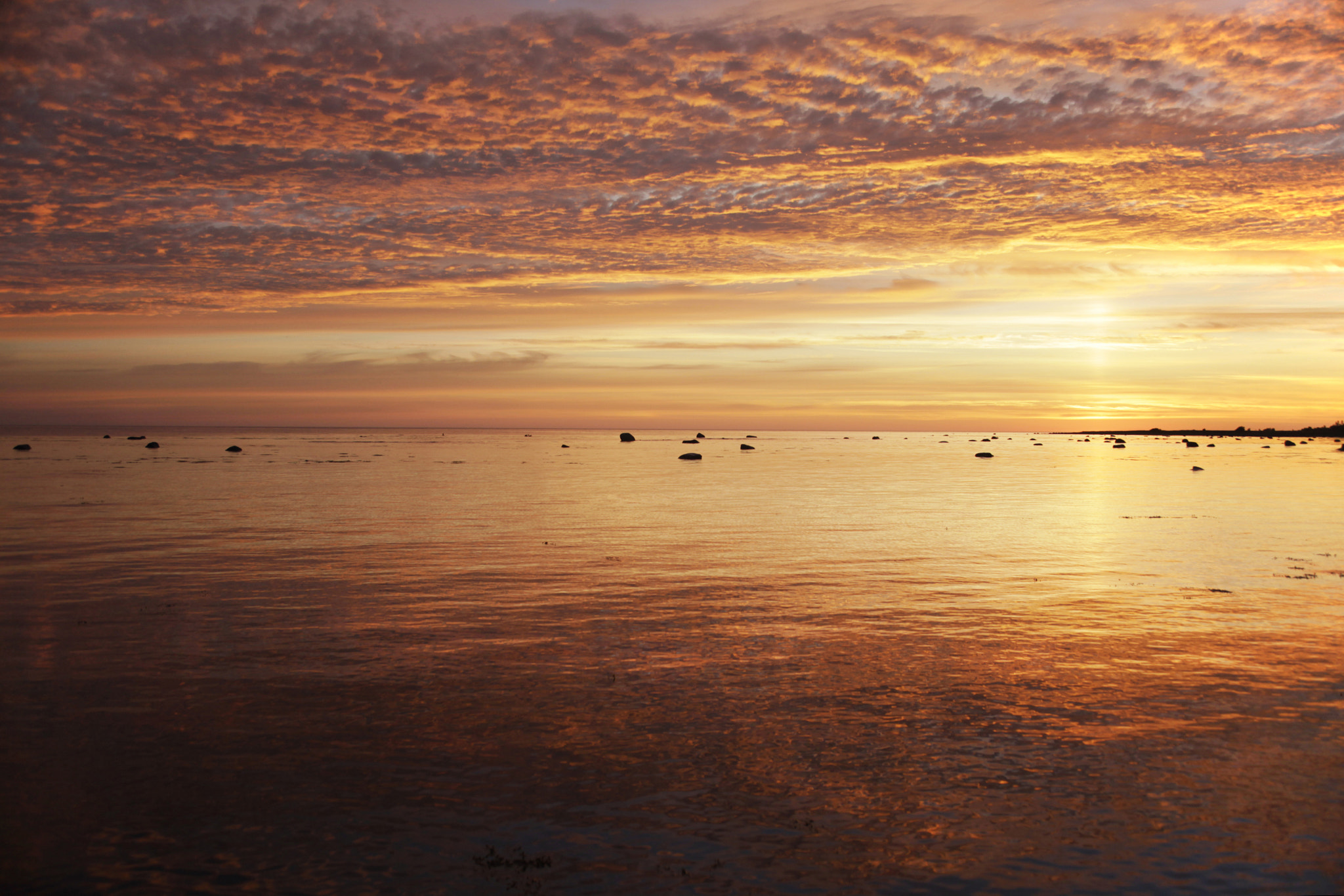 Canon EF 28-70mm f/3.5-4.5 sample photo. Golden sunset photography
