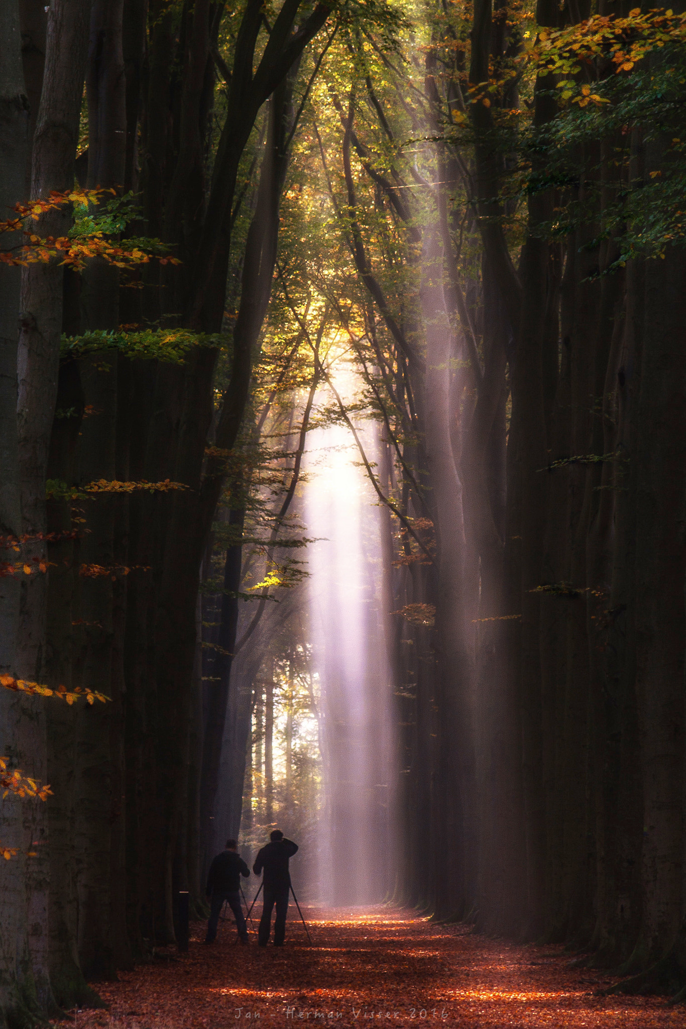 Canon EF 50-200mm f/3.5-4.5 sample photo. Beams... photography