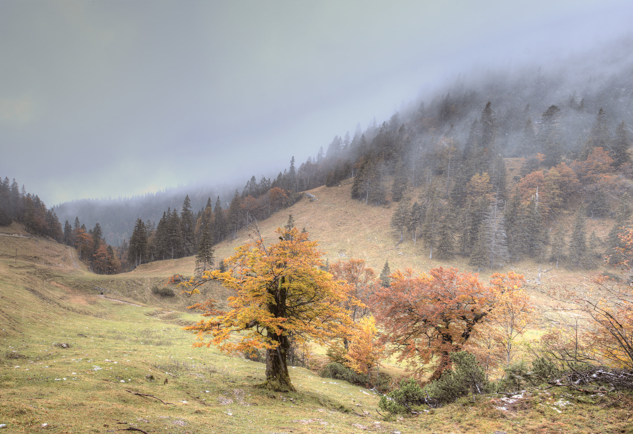 Nikon D750 + Tamron SP 35mm F1.8 Di VC USD sample photo. The storm is coming photography