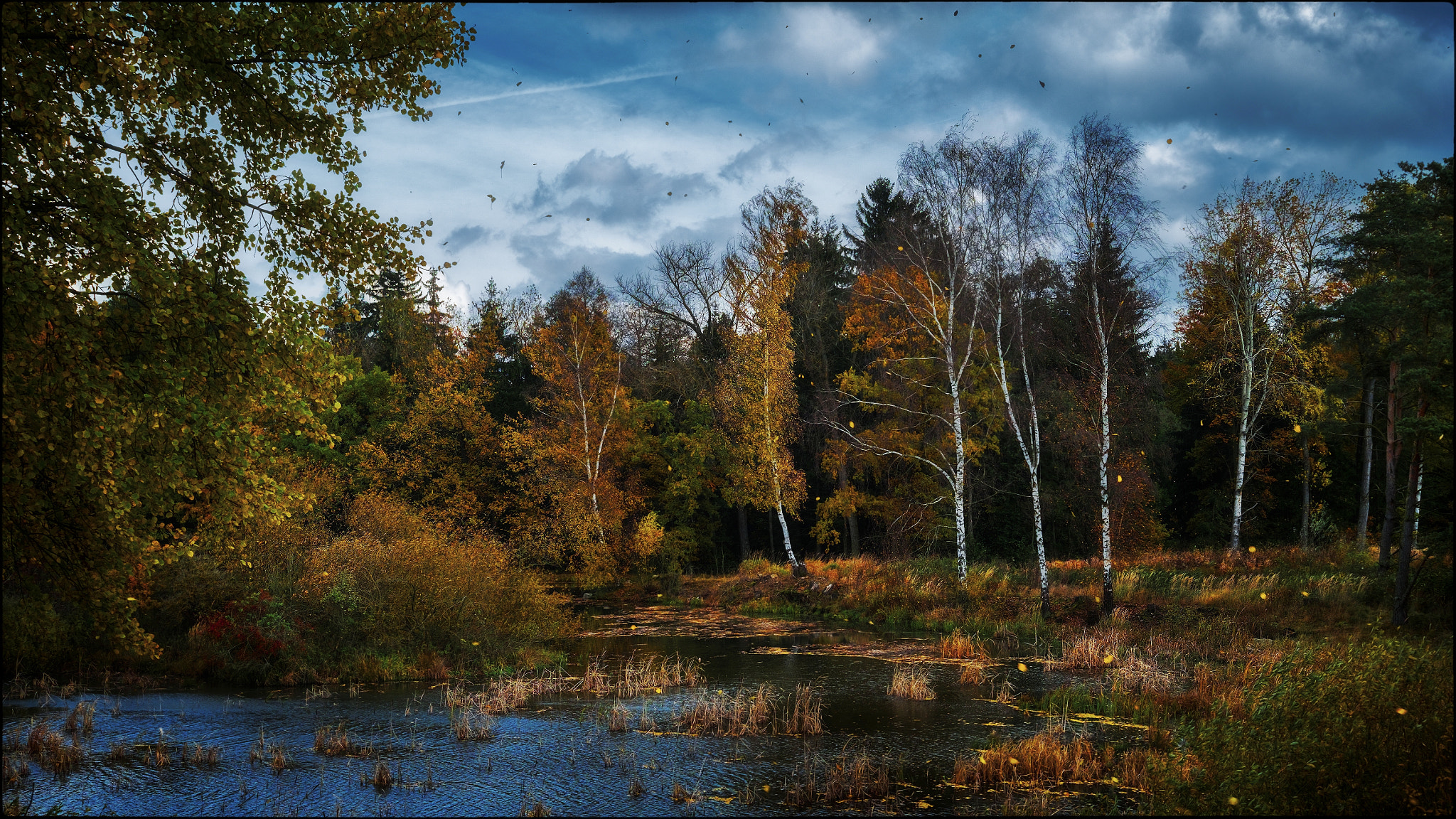 Fujifilm X-E1 + Fujifilm XF 27mm F2.8 sample photo. Already falling leaves photography