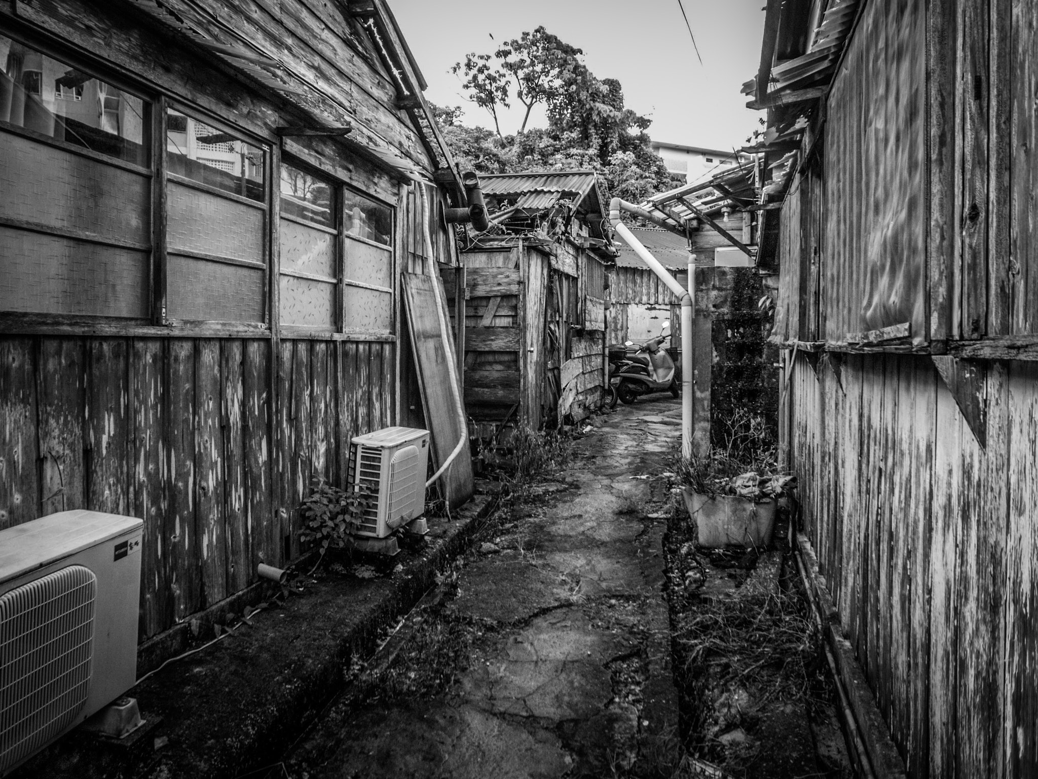 Ricoh GR DIGITAL 2 sample photo. Okinawa back alley photography