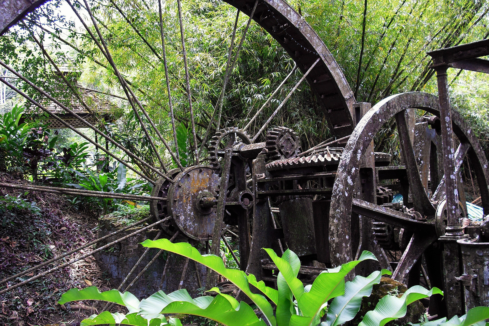 CASIO EX-Z19 sample photo. Old sugar mill in tobago photography